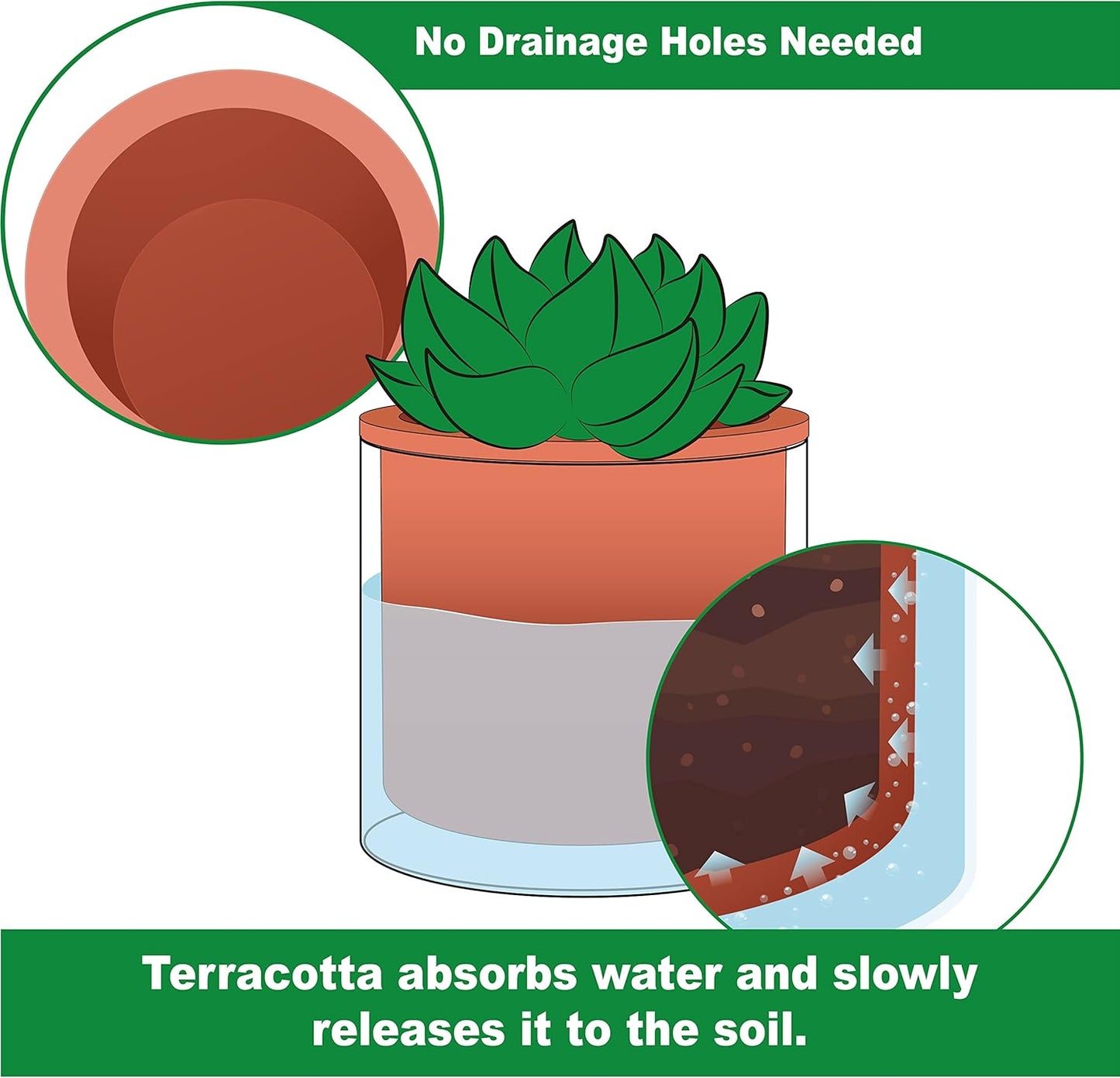 Phoenix Vine 6 Inch Self Watering Plants Pot, Design Terracotta Pot for Plants, Indoor Cylinder Terra Cotta Planter with Glass Vase, Set of 1, 51-A-F-1