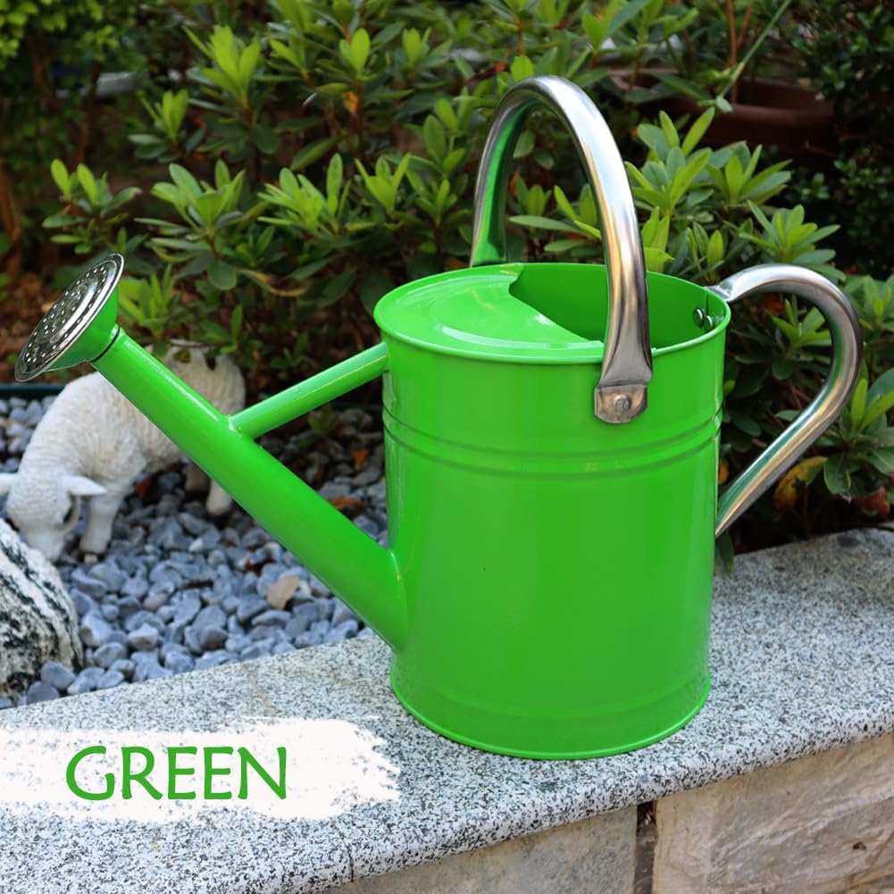 Metal Watering Can, One Gallon Watering Cans Stainless Steel for Outdoor Indoor Garden Plants Watering (Stainless Steel Handle Green)