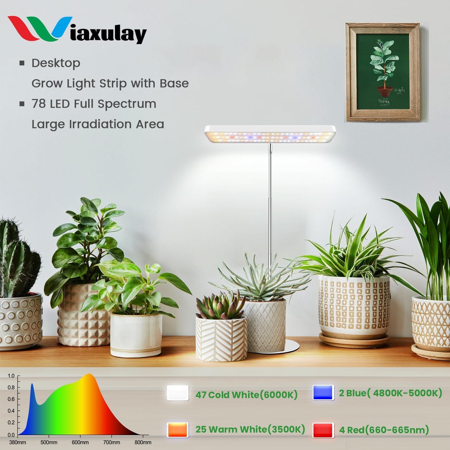 Wiaxulay Grow Light, 78 LED Plant Light for Indoor Plants, Full Spectrum Desktop Growing Lamp with Auto Timer 6/12/16 Hrs, 3 Lighting Modes, 5 Dimmable Levels, Height Adjustable 7.8"-26", 1 Pack