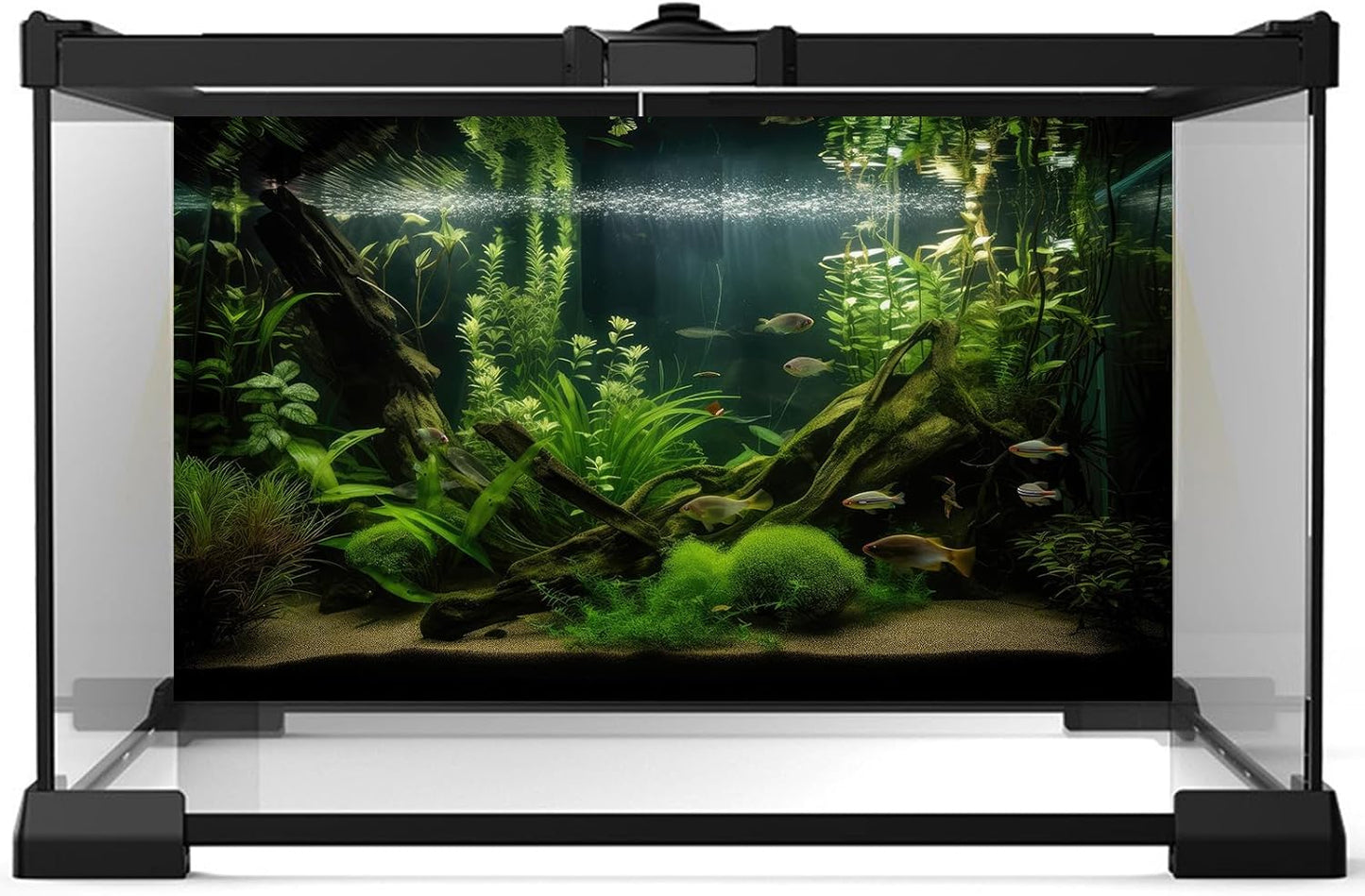 Aquarium Background Diverse Aquatic Plants and Seagrasses Terrarium Background Redwood Root Lush Green Underwater Plants Moss Fish Tank Background Under The Sea Aquarium Backdrop Vinyl 72x24in