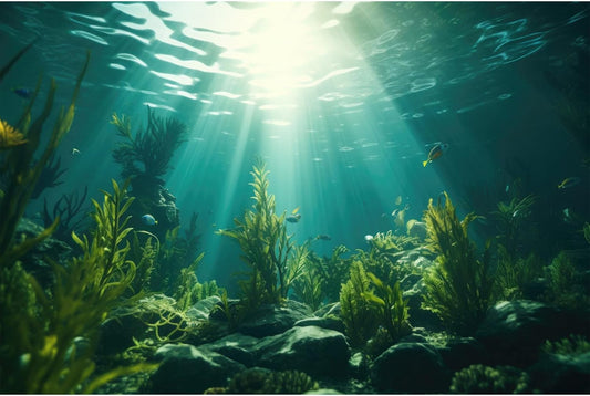 Ocean Aquarium Background Aquatic Plants with Rocks Terrarium Backdrop Sunlight Rays Deep Sea Fish Tank Background Aquarium Wallpaper Poster Decor Vinyl 60x24in