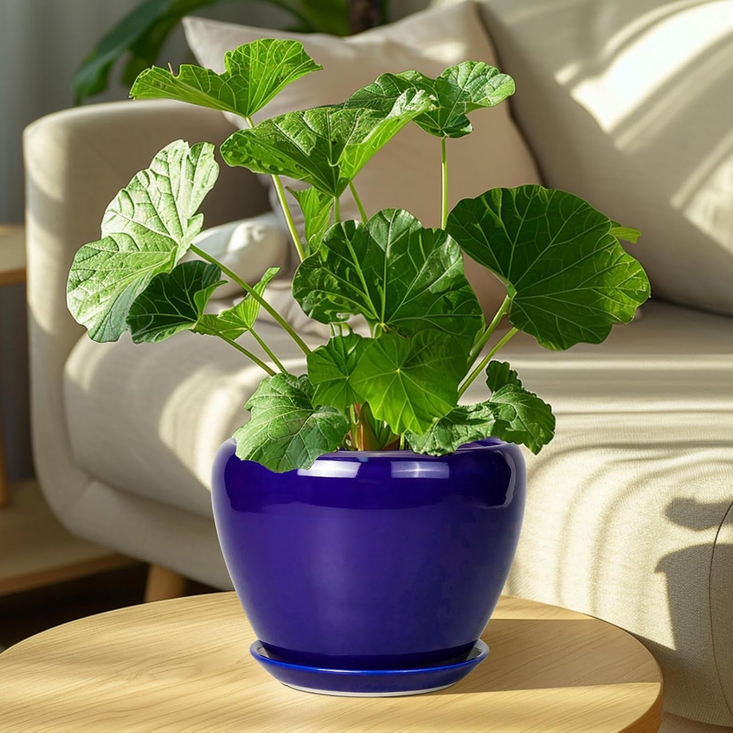 Ceramic Plant Pot 8 Inch - Planter for Outdoor Plants Indoor Plant Pot with Drainage Hole and Saucer Decorative Round Planter Modern Flower Pot for House Decor Blue