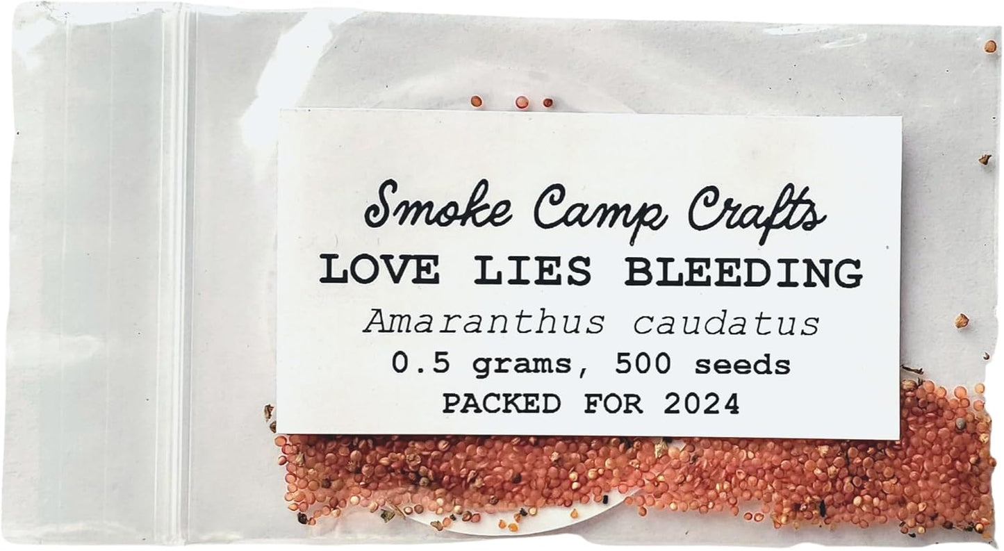 Organic Love Lies Bleeding Seeds (Amaranthus caudatus) 500 Seeds (0.5 Grams) - Foxtail Amaranth, Love-Lies Bleeding, Tassel Flowe, Velvet Flower, Gorgeous Unique Cut Flower by Smoke Camp Crafts