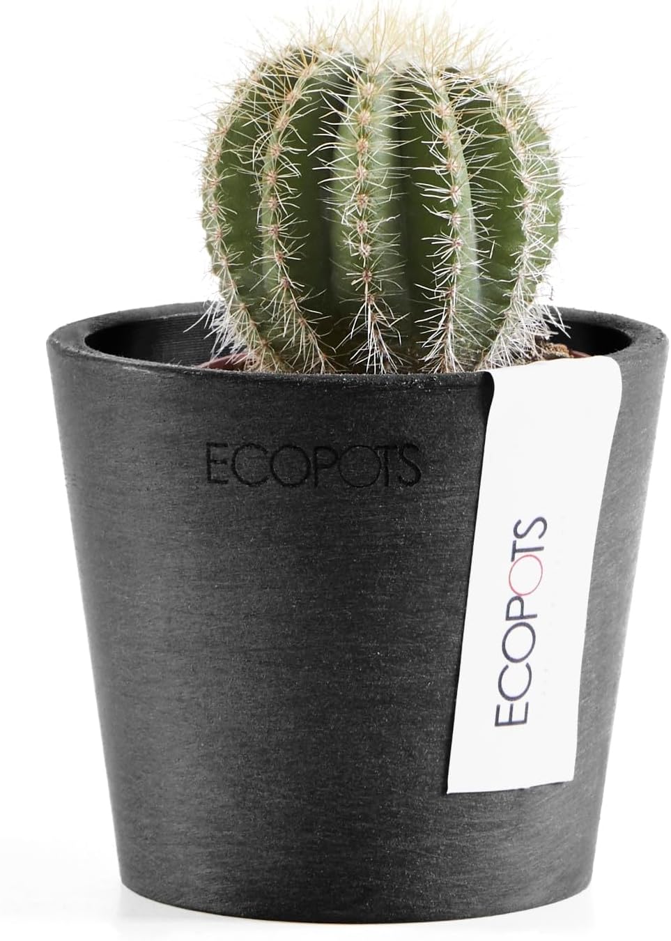 Ecopots Amsterdam Mini Durable Modern Round Recycled-Based Composite Flower Pot Planter, Dark Grey, 3"