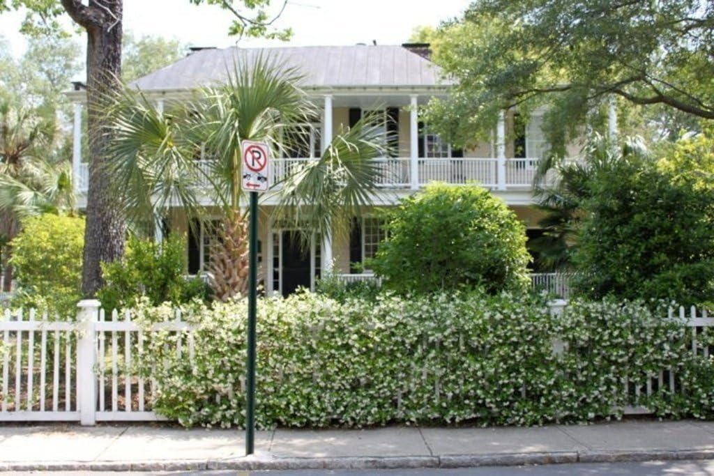 Confederate Jasmine Fragrant Evergreen Vine - Quart Pot