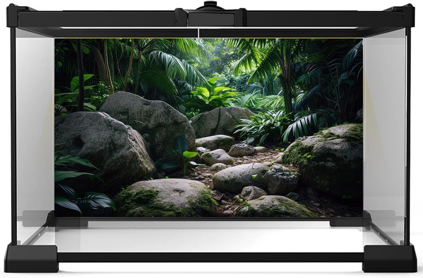 Reptile Habitat Backdrop Lush Tropical Plants and Rocks Terrarium Backdrop Dense Vegetation with Large Broad Leaves and Ferns Fish Tank Background Aquarium Wallpaper Poster Decor Vinyl 72x24in