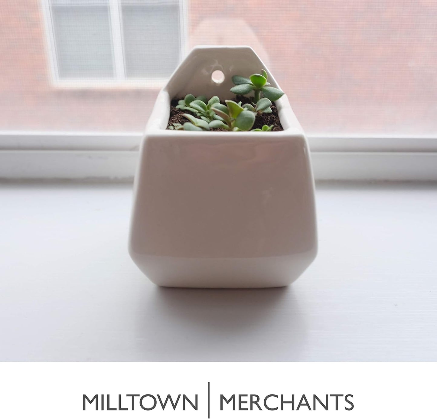 Milltown Merchants Succulent Wall Planter - Black Ceramic Planter - Succulent Plant Pot - Hanging Vase for Living Wall (1 Pack/Contemporary/White)