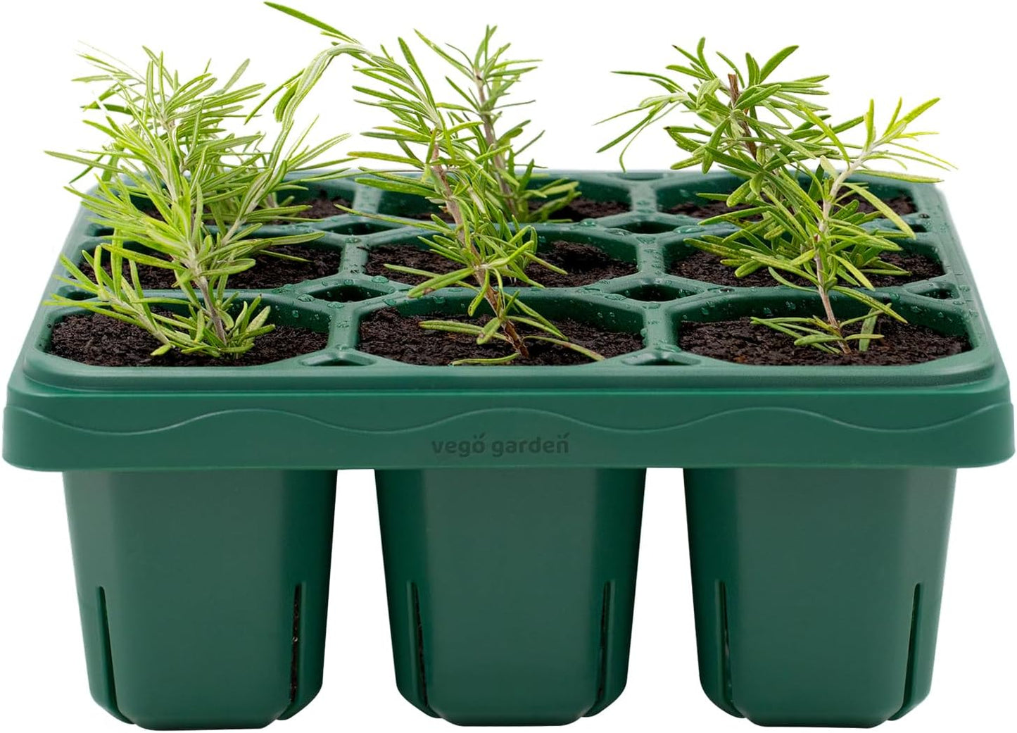 Vego garden Giga Seedling Trays - 2 Pack, 9-Cell UV-Resistant Reusable Starter Trays for Greenhouse/Garden (No Lids)