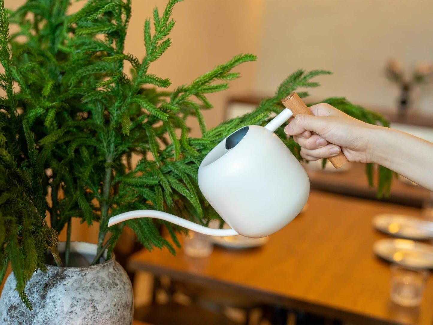 Green Moon Water Can Indoor Plant White 1.2L/41oz with Long Spout Small Water Can Metal Watering Can Pot for Indoor House Plant Bonsai Outdoor Garden Flowers Decorative
