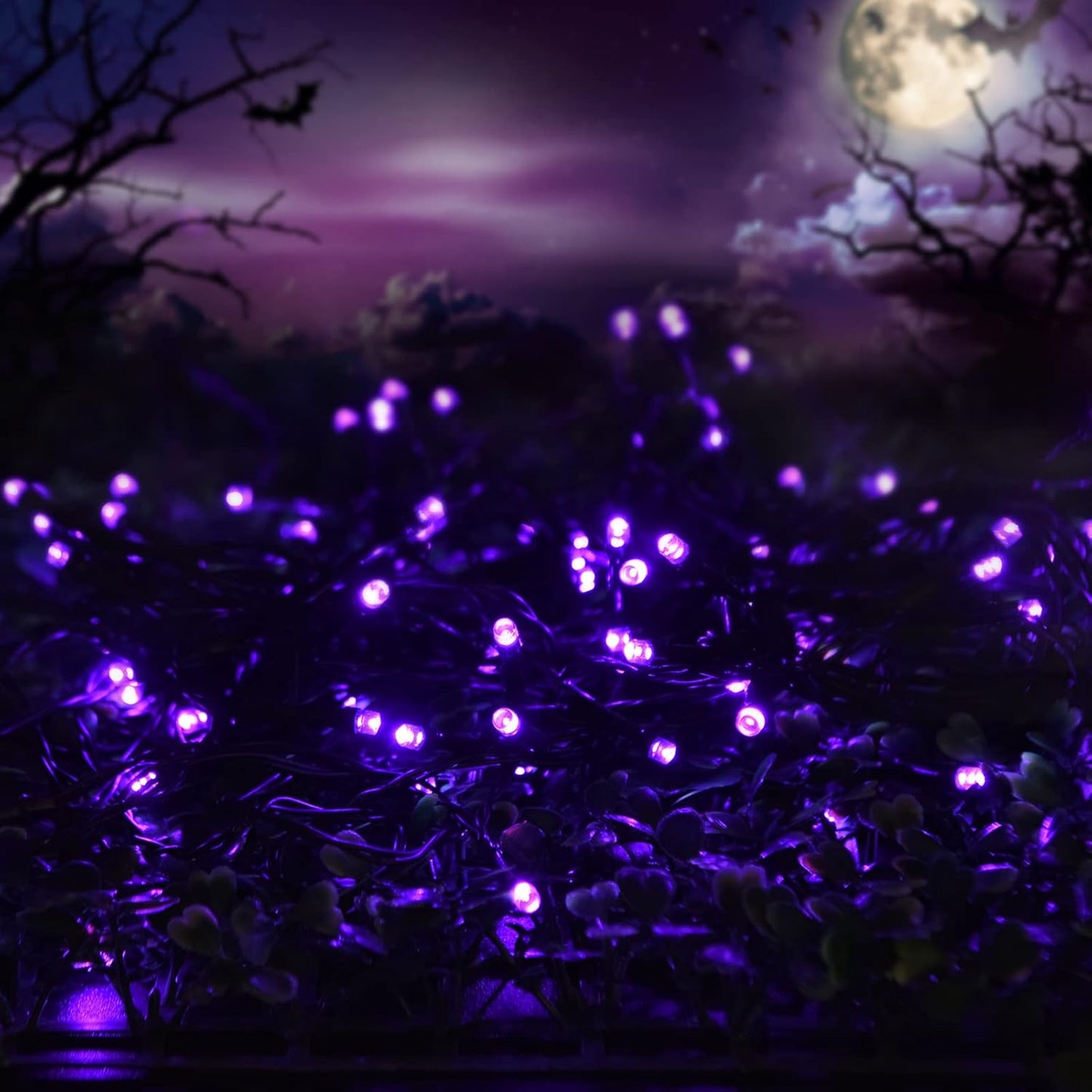 2 Pack 400 LED Solar String Lights, 8 Modes Solar String Lights for Outside, Waterproof and Solar Powered Outdoor String Lights for Holiday Christmas Yard Garden Tree Wedding Party (Purple)