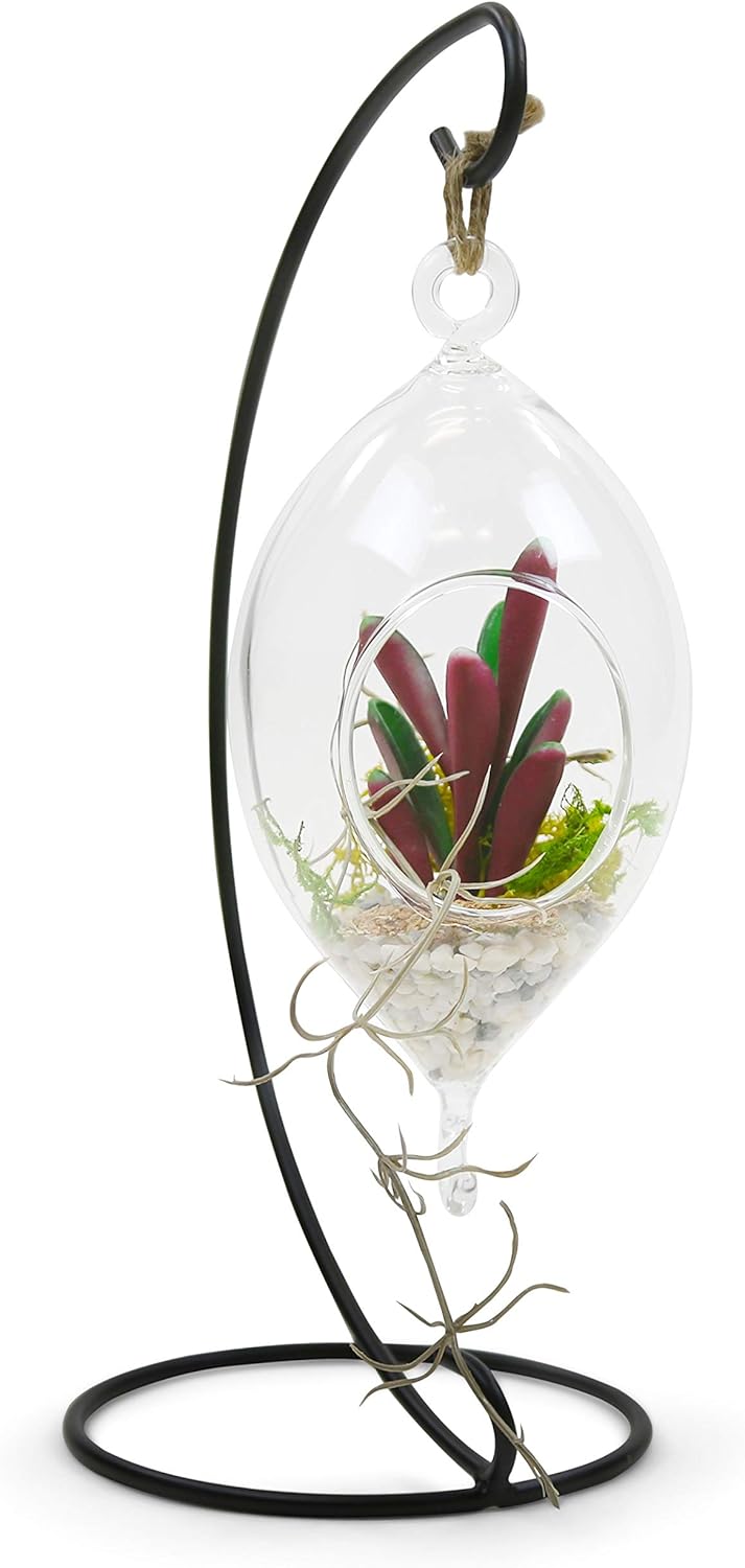 WGV Hanging Terrarium, Width 3.5", Height 7", Oblong, Double Hook, DIY Air Succulent Planter, Clear Glass Vase Orb, Candle Holder for Windowsill Outdoor Garden Decor, 1 Piece