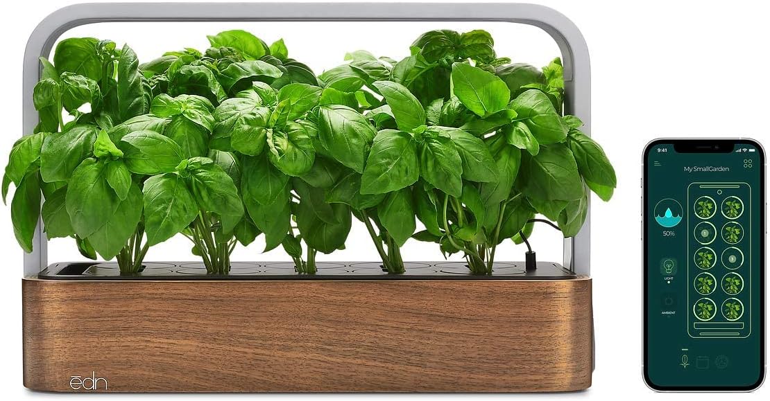 SmallGarden with Basil SeedPods, Indoor Grow Smart Garden for iOS Devices - Fresh Home Grown Herbs, Plants and Flowers - Grow up to 10 Different Plants at Once
