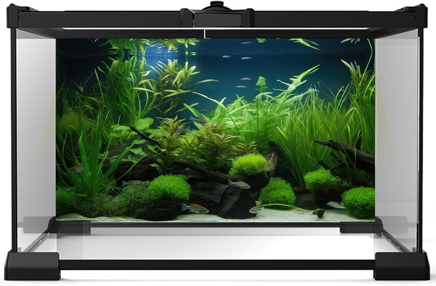 Aquarium Background Diverse Collection of Aquatic Plants Seagrasses Terrarium Background Redwood Root Moss Tropical Style Underwater Plants Fish Tank Background Under The Sea Aquarium Backdrop 36x24in