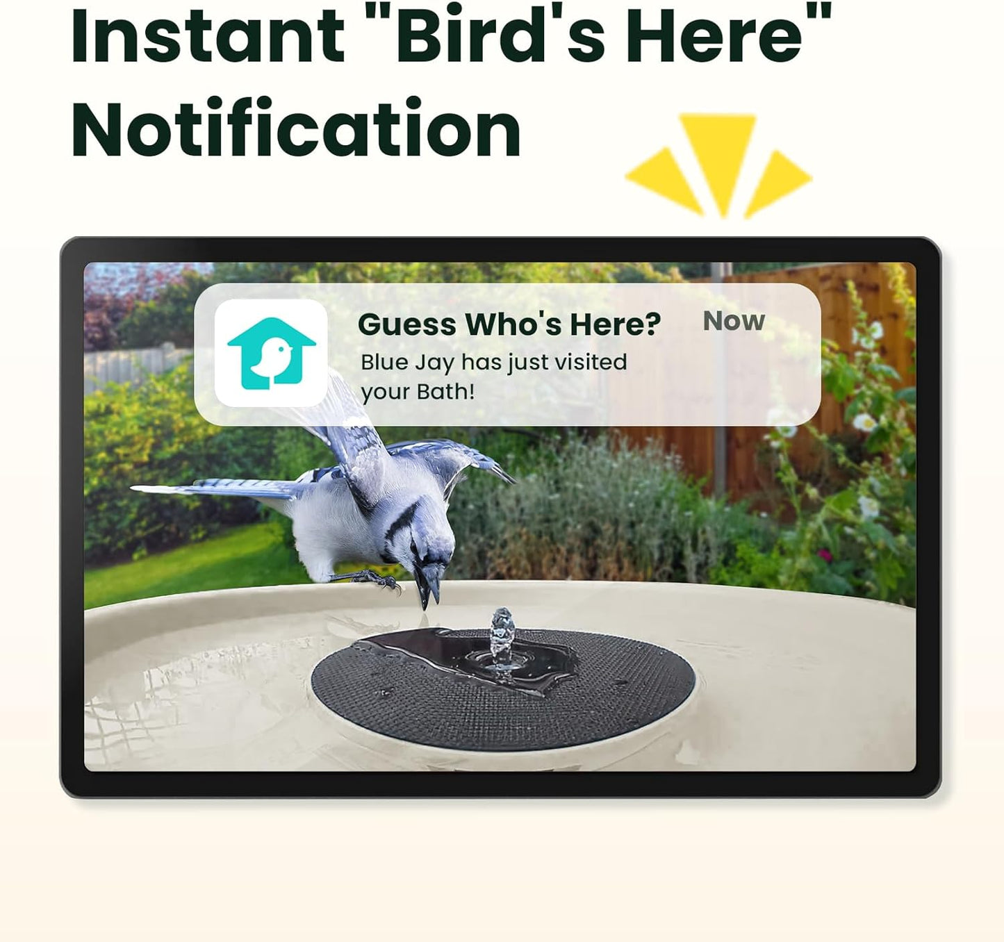 Birdfy Smart Bird Bath with Camera Solar Powered & Fountain, Dual-Lens Camera for Wildbird Watching, Auto Capture Bird Videos & Motion Detection - AI Lifetime Version (Yellowstone)