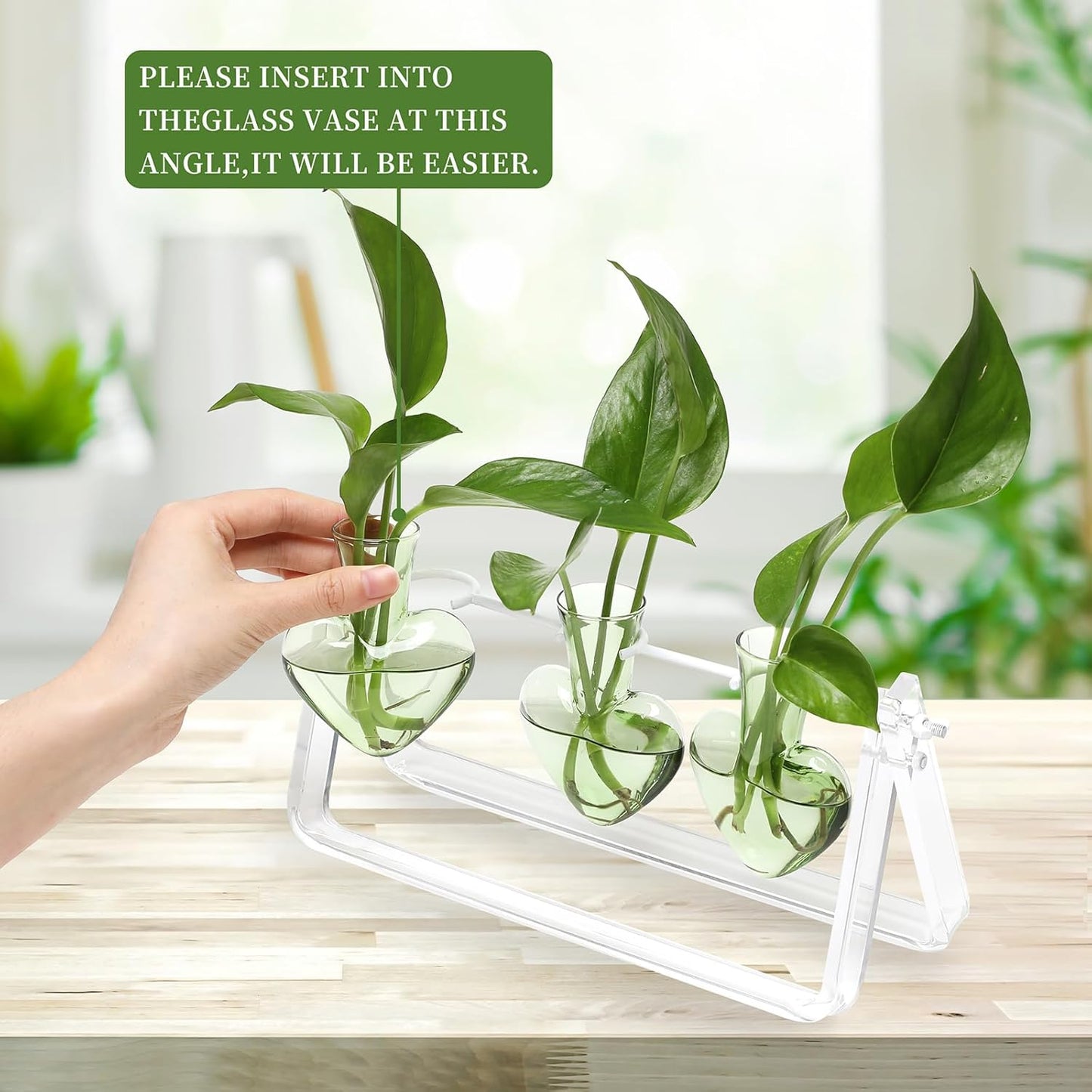 Plant Terrarium Propagation Stations with Wooden Stand Birthday Gifts for Women Plant Stand Indoor Office Home Decor