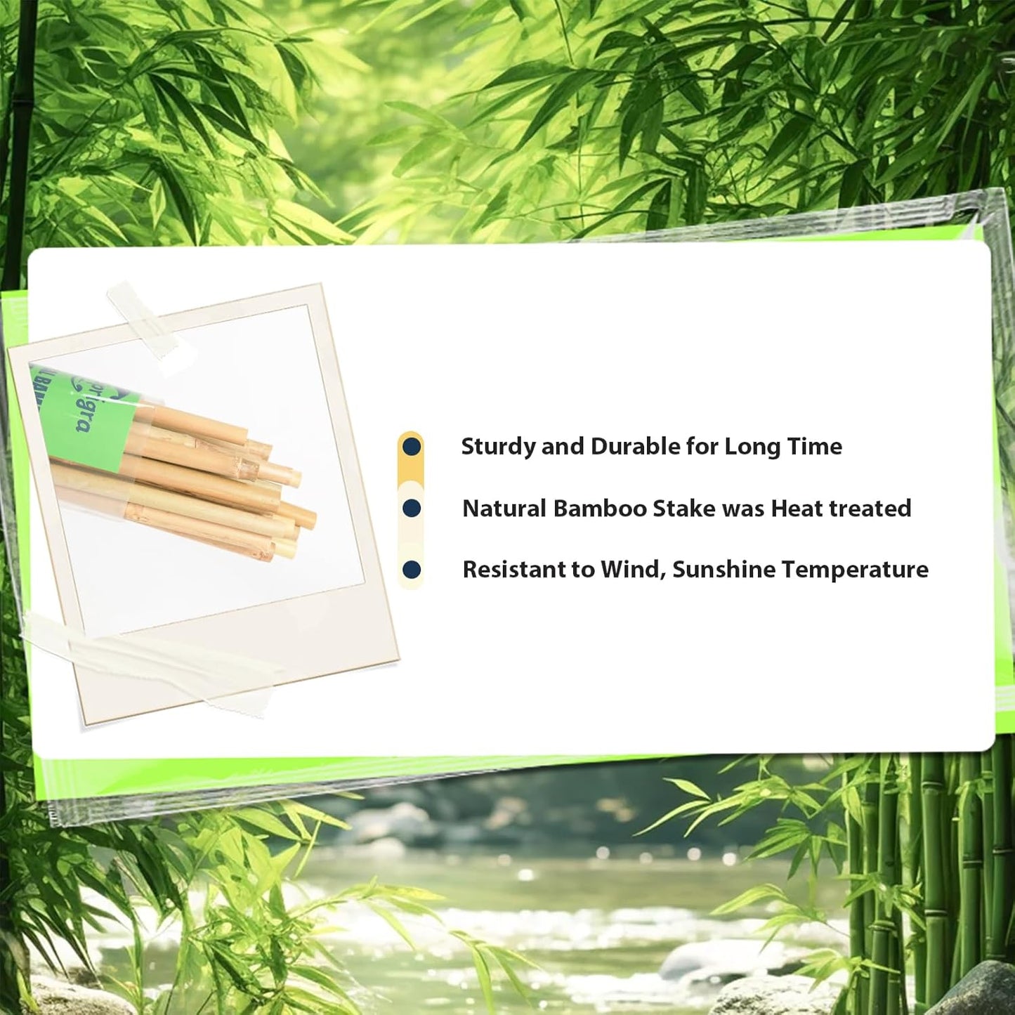 30pcs Bamboo Stakes 4FT, Garden Stakes 48 inch Multi-Purpose, Plant Stakes for Tomatoes, Beans, Cucumbers, Peppers, Flowers, Potted, Maintain The Plant Posture, Strengthen and Stem