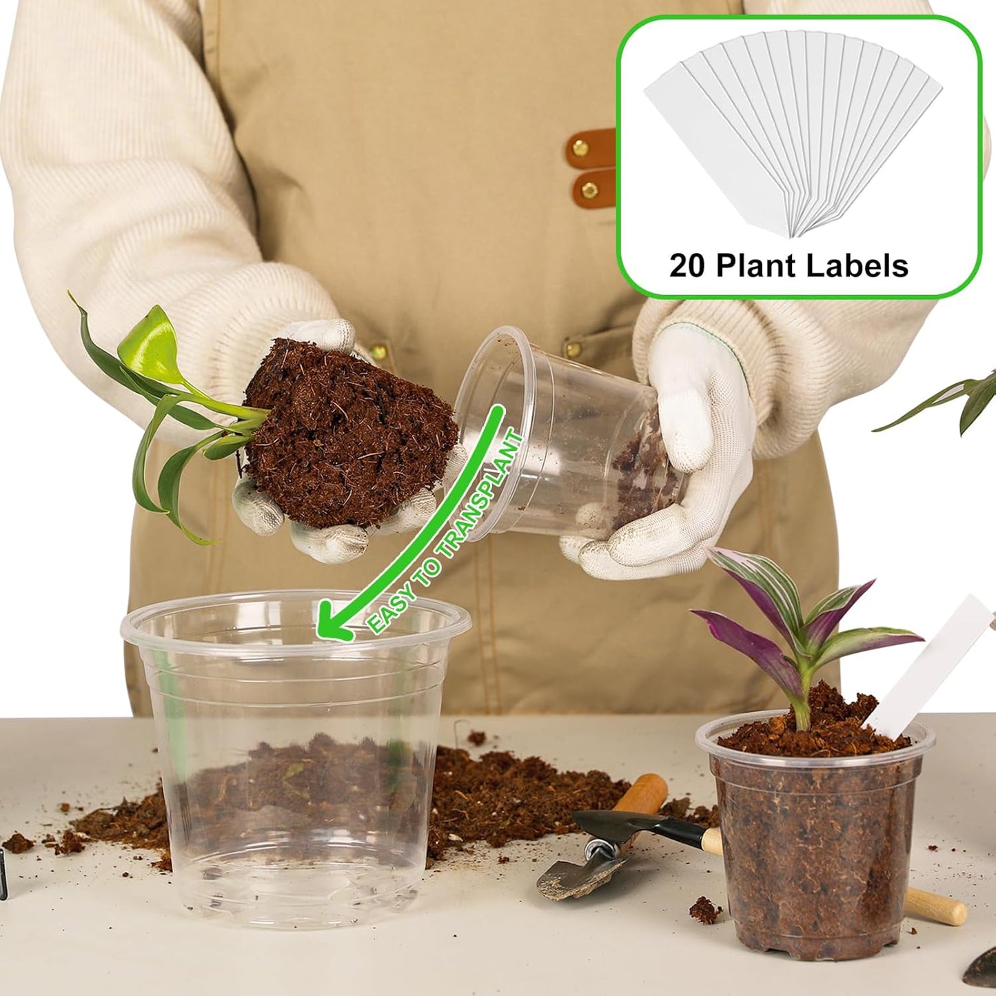 36 Pack3.5/4/5Inch Clear Nursery Pots with Drainage Hole,Variety Sizes Seed Starting Pots Transparent Plastic Plant Pots for Plants Transparency with 20 Plant Labels