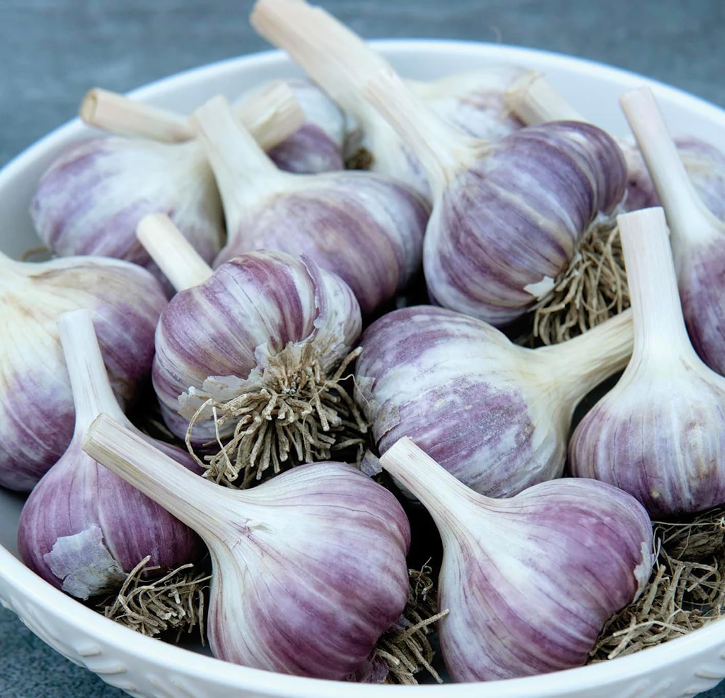 5 Pack of Fresh Purple Garlic Bulb - Great for Planting and Growing OR Eating by Greenhouse PCA