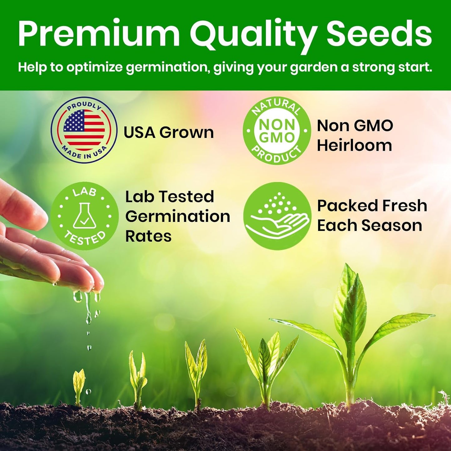 NatureZ Edge Catnip Seeds for Planting, 6.5 Grams, 11,000+ Herb Seeds, Indoor or Outdoor Growing, Your Cat Will Love Them, Non-GMO