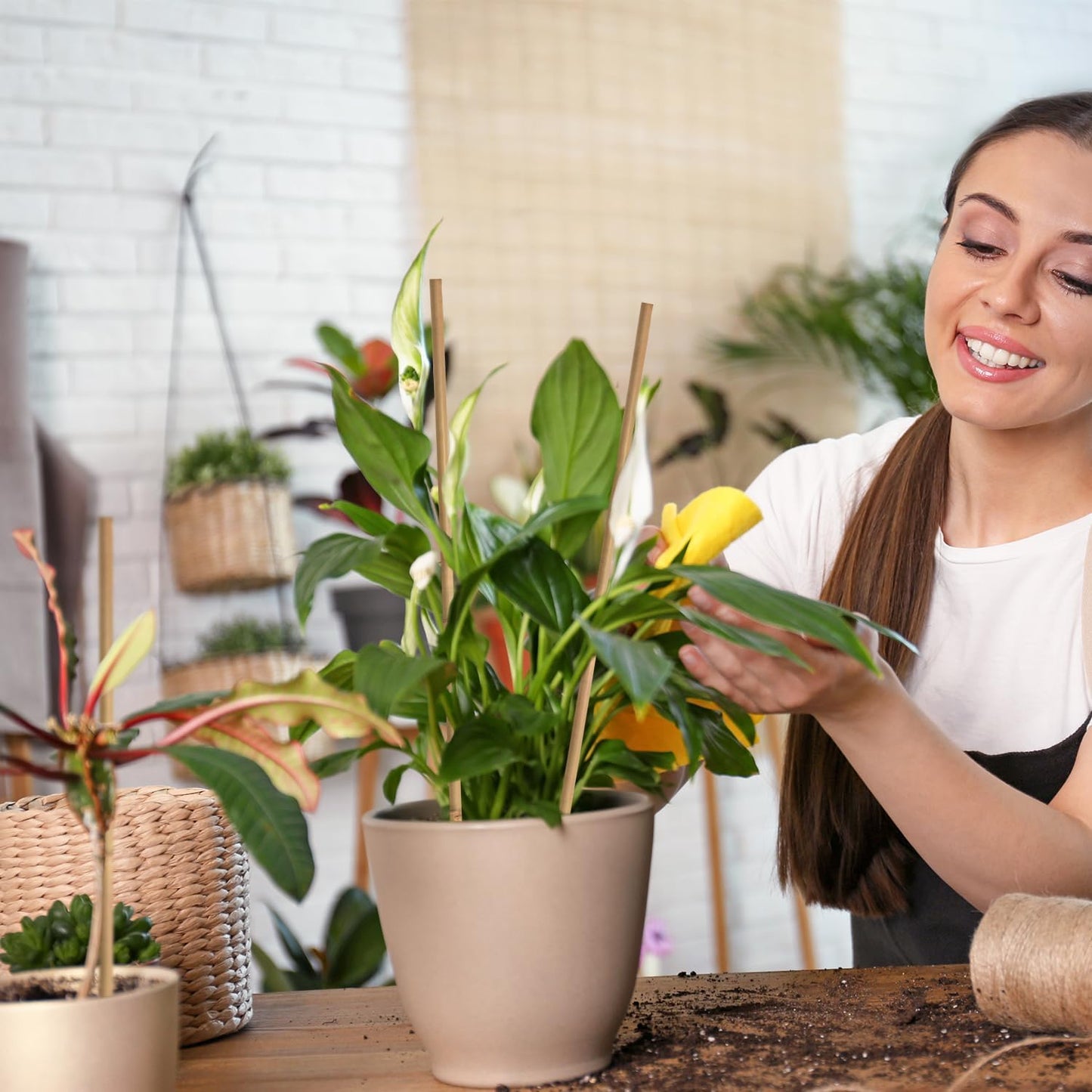 35Pcs Plant Stakes,Premium Natural Bamboo Garden Stakes,Bamboo Sticks Support for Indoor and Outdoor Plants,Tomato,Vegetables Beans,Potted and Climbing Plants