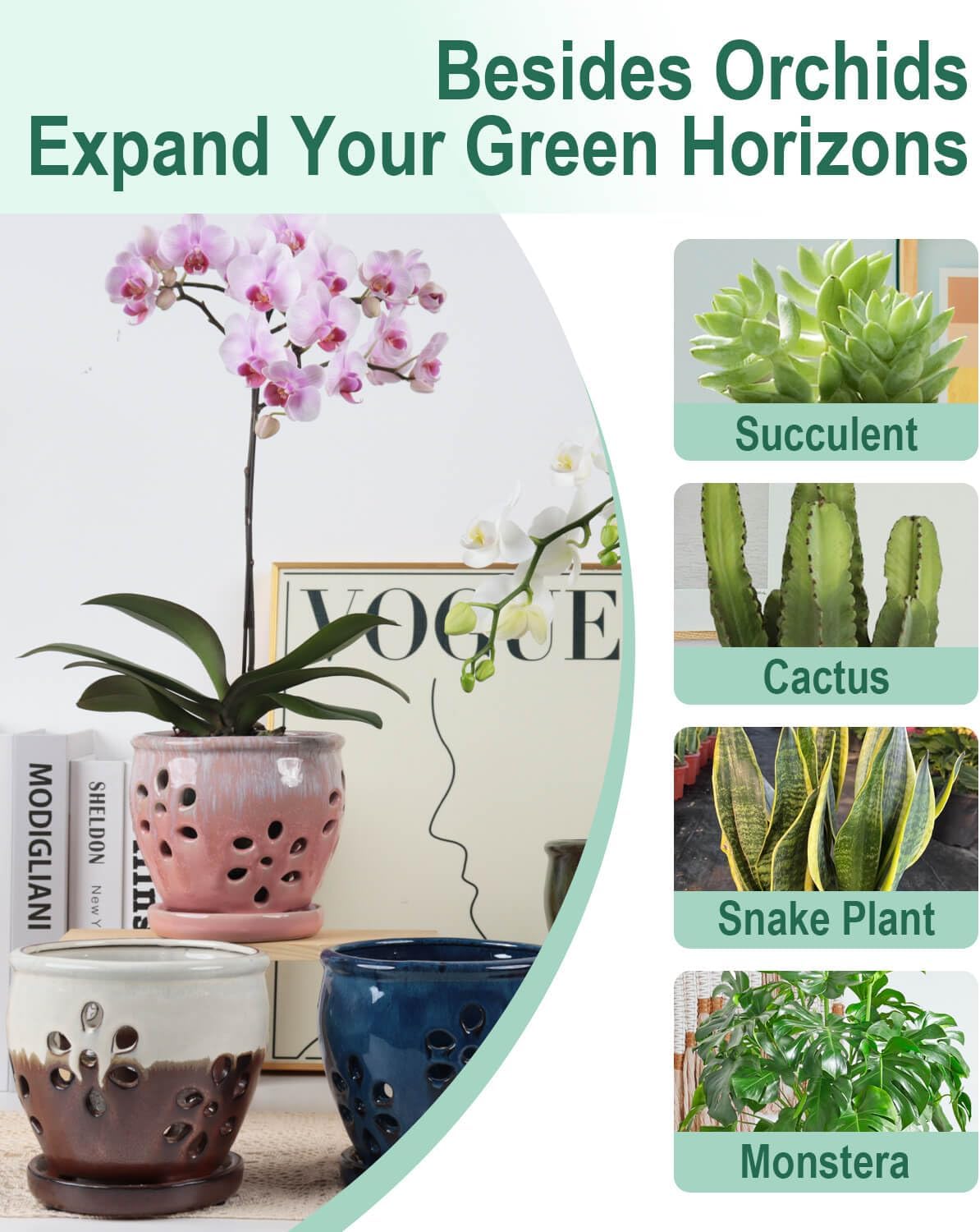 vensovo 5 Inch Ceramic Orchid Pots with Holes and Saucers - 1 Pcs Small Succulent Pot for Repotting, Garden Flowerpots for Plants Indoor and Outdoor Promotes Air Circulation, Brown Mixed