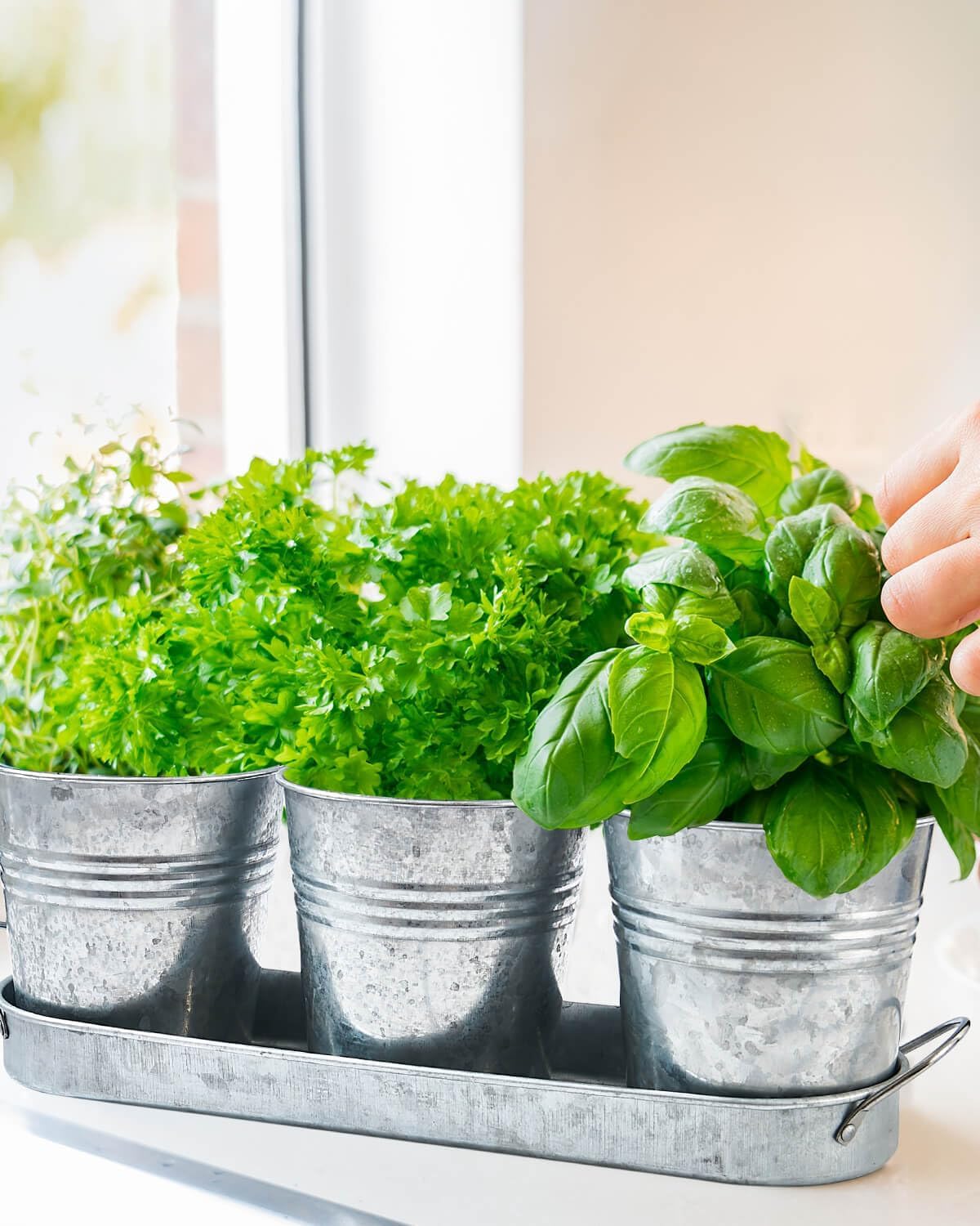 vensovo Indoor Herb Planter Set - Galvanized Windowsill Garden Pots with Tray & Drainage, Set of 3 Metal Window Planters for Kitchen & Outdoor Use, Silver