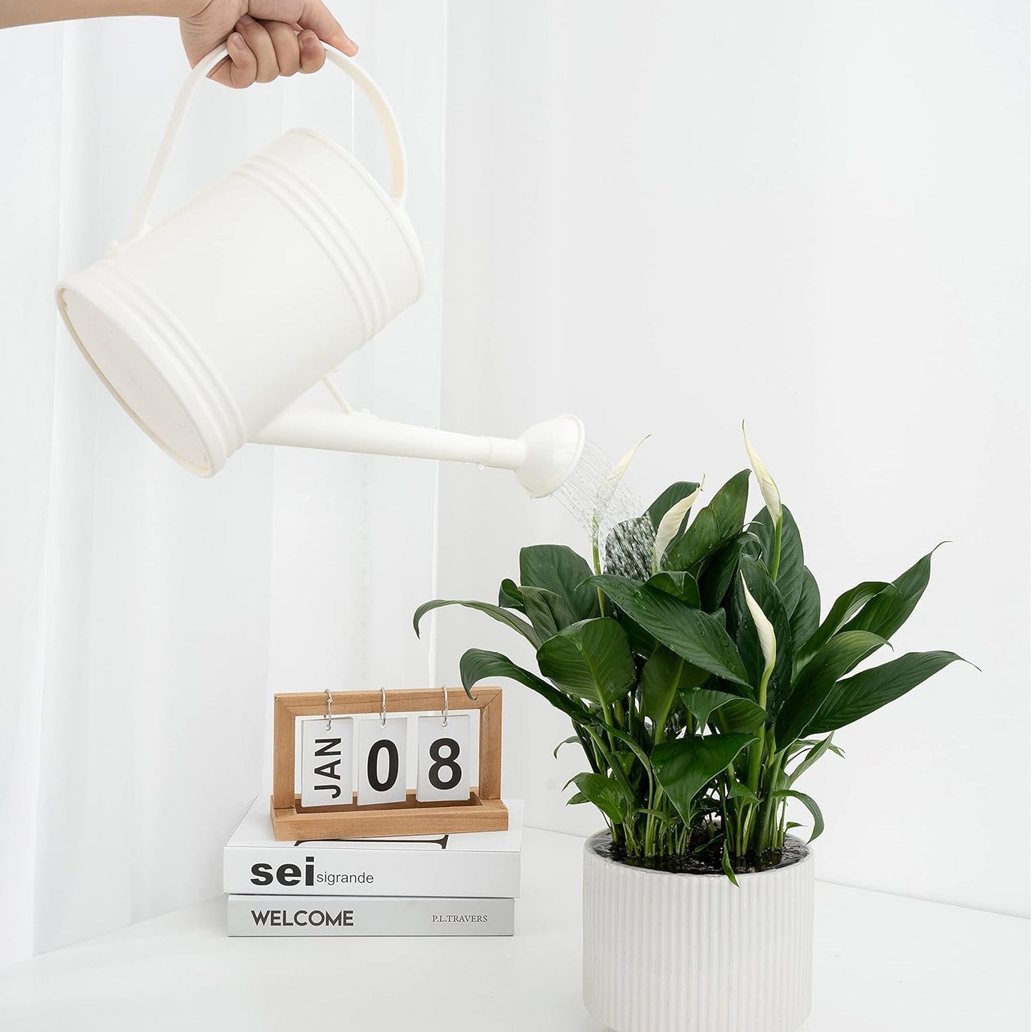 Plastic Indoor Watering Can with Sprinkler Head - 68 oz, 1/2 Gallon