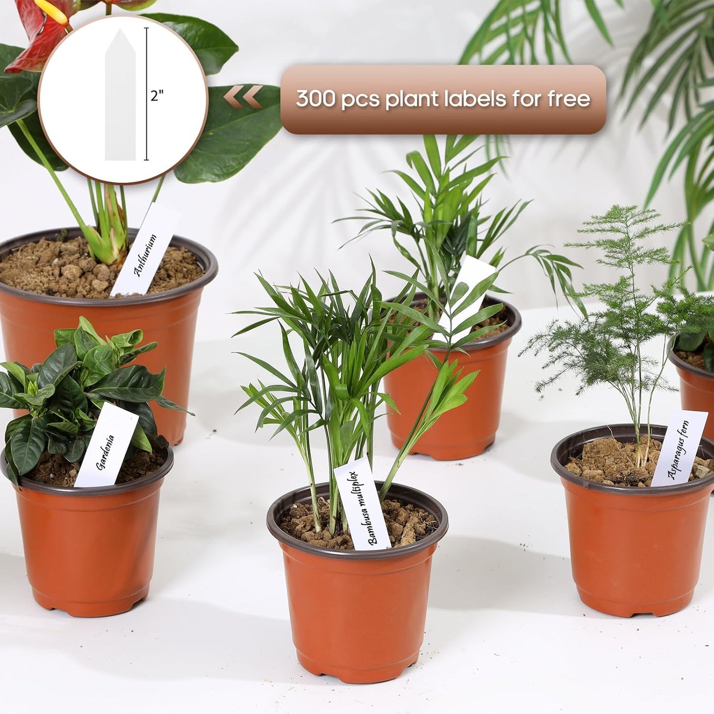 300 Pack 4 Inch Plastic Nursery Pots for Plants, Small Seedling Pots Succulent Pots Flower Pots with Drainage Holes, Come with 300pcs Plant Labels