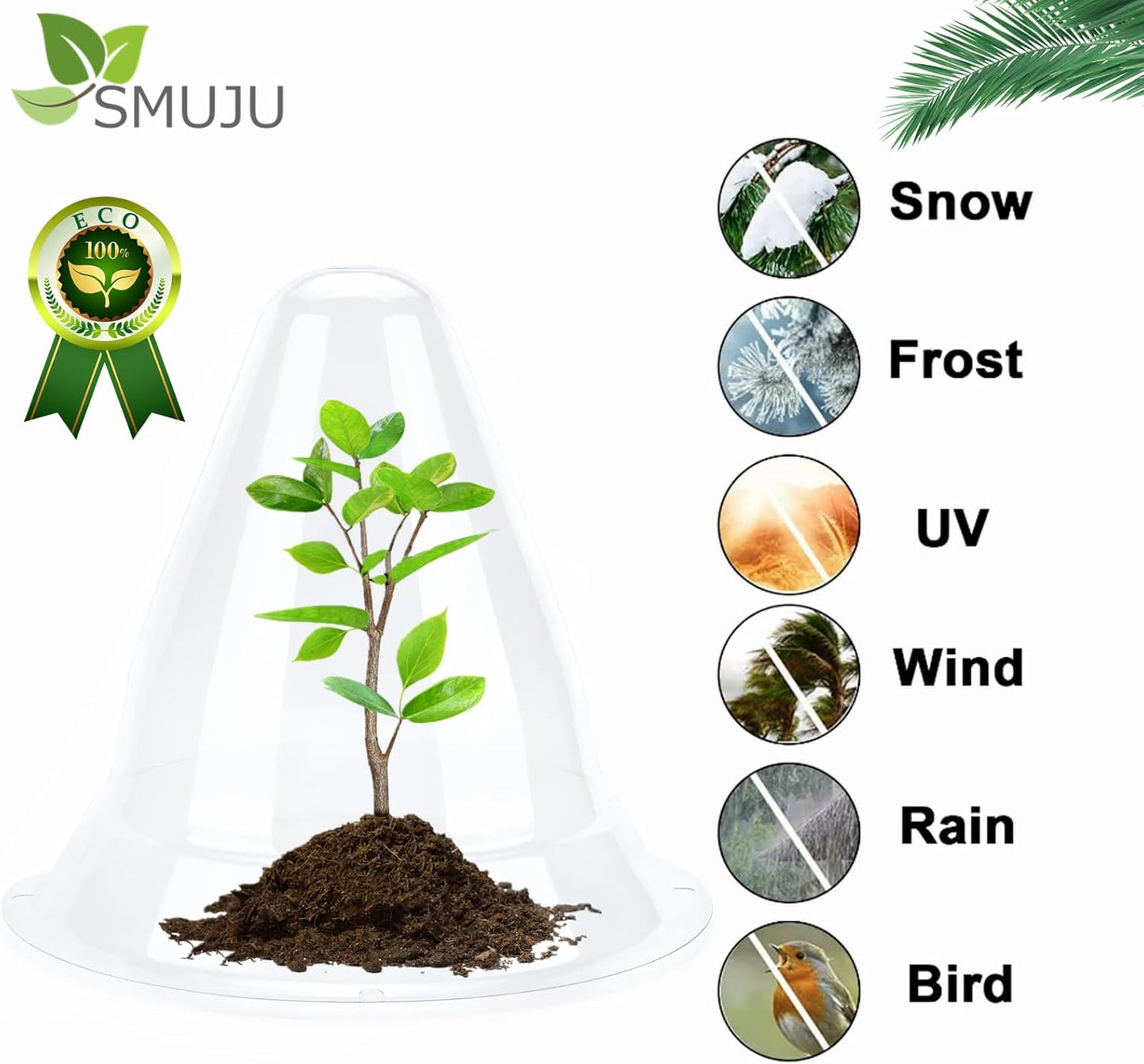 【30 Pieces】 Garden Cloches for Plants, Large Plant Covers Plant Protectors Clear Bell Jar Cloches to Protect Plants from Birds, Slugs, Frost, Freeze Weather, 10.6" D x 9.5" H, Transparent (30PCS(Big))