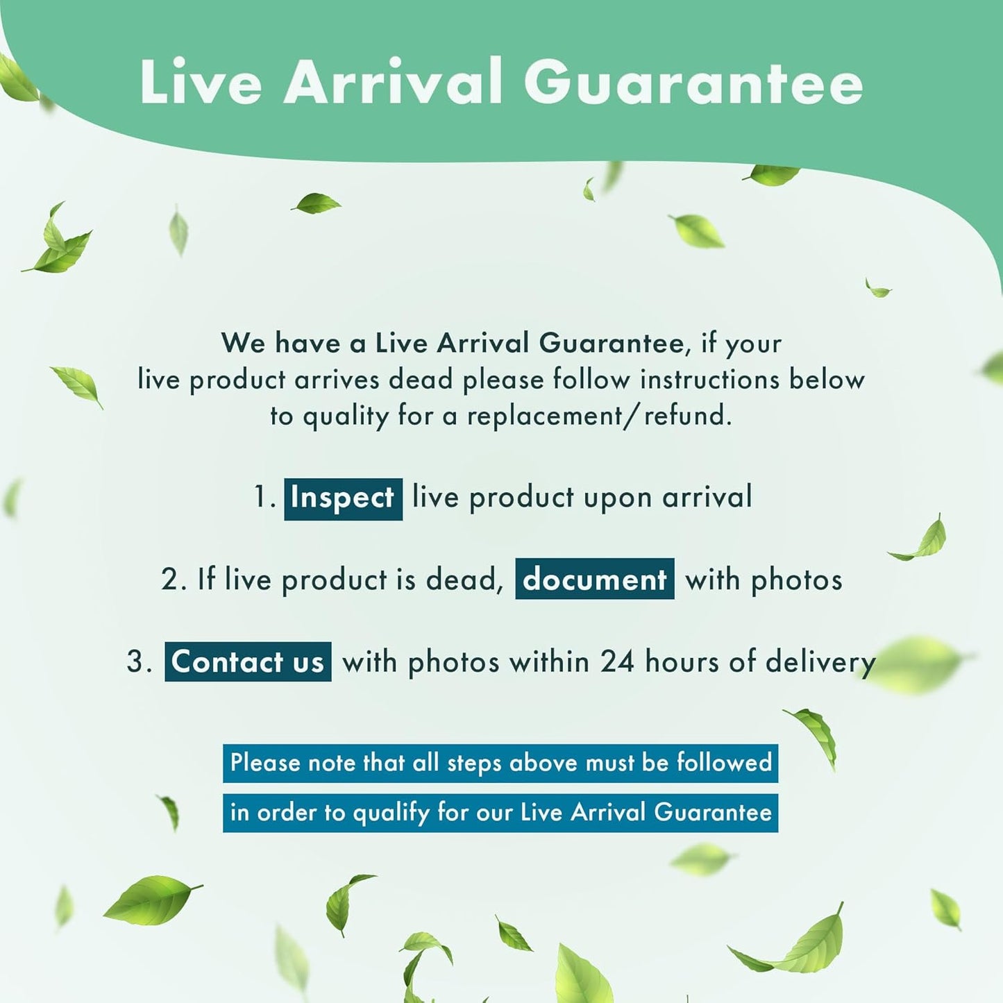 Live Aquarium Stem Plants - Freshwater Aquatic Plant for Fish Tanks, Aquascaping - (Rotala H'Ra, 4 Bunches)