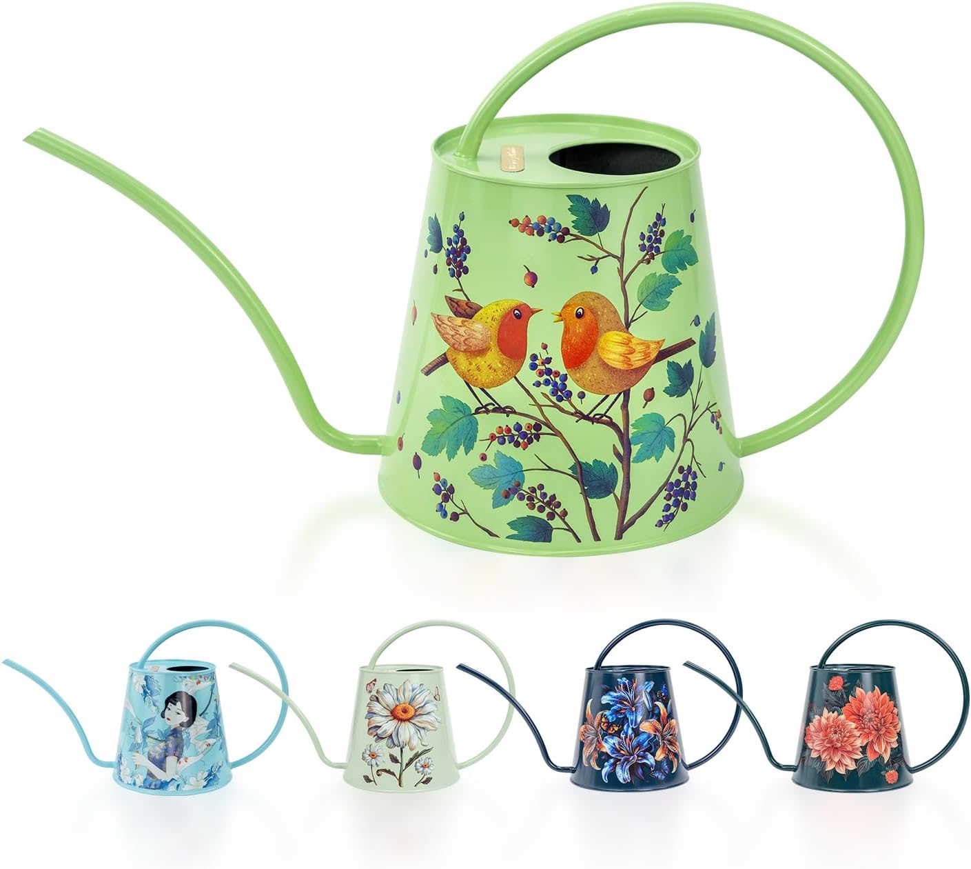 Berry&Bird House Plants Watering Can - Indoor & Outdoor 1/2 Gallon Stainless Steel Water Can with Long Spout Garden Decoration for Flower Bonsai Succulent Gardening Large Watwer Bottle(2L/Robin)