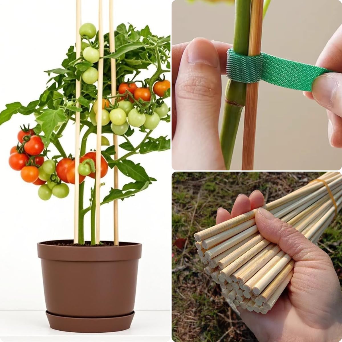 125 PCS 17.5 inch Bamboo Plant Stakes – Extra Thick 6.3mm Bamboo Sticks for Indoor & Outdoor Plants – Garden Stakes & Plant Support Stakes for Tomato, Flowers, Potted Plants & More – VESYMAN