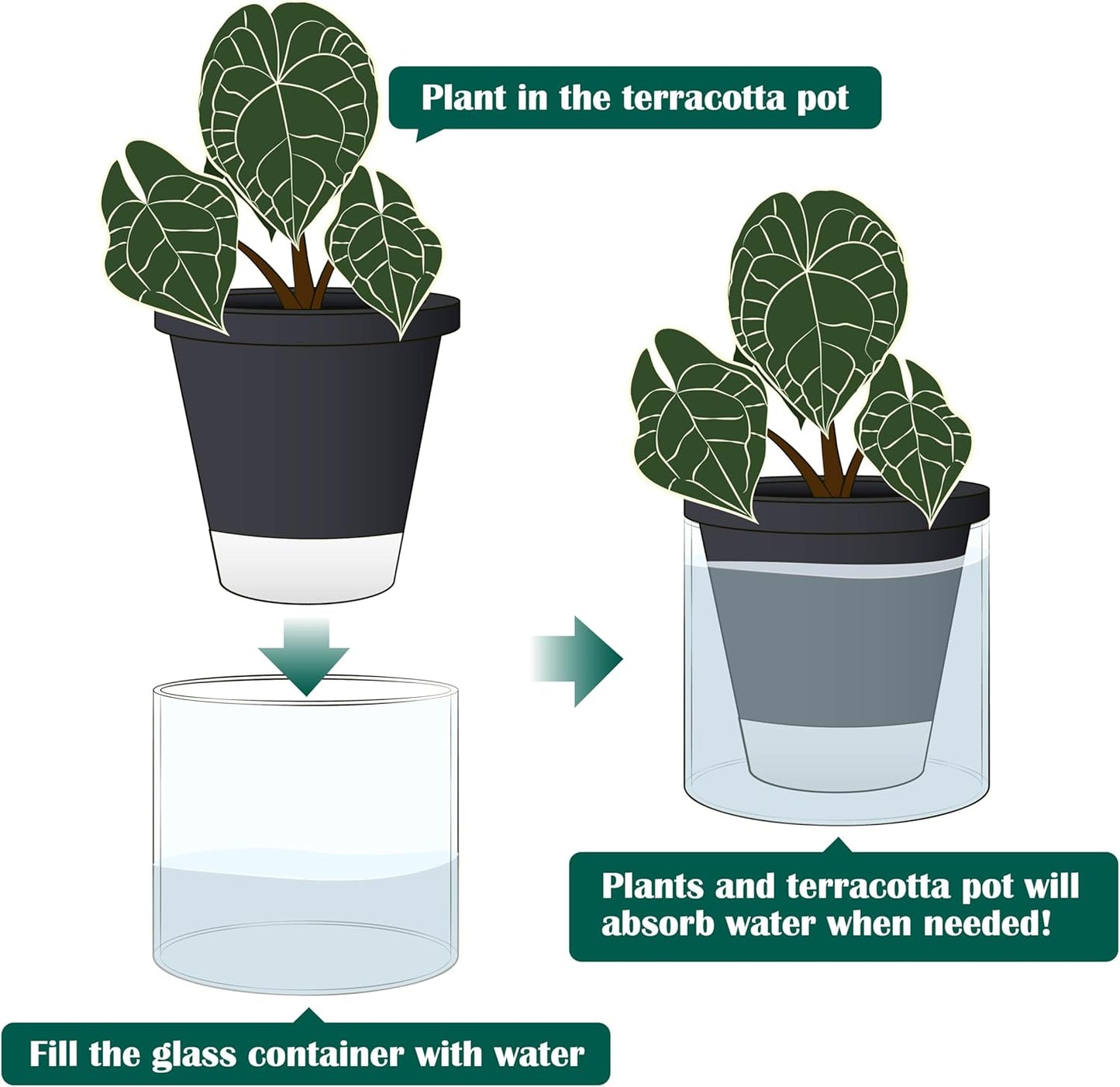 D'vine Dev 6 Inch Design Self Watering Planter for Indoor Plants, Black Terracotta Pot with Cylinder Glass Cup, Set of 2, 37-Y-B-3