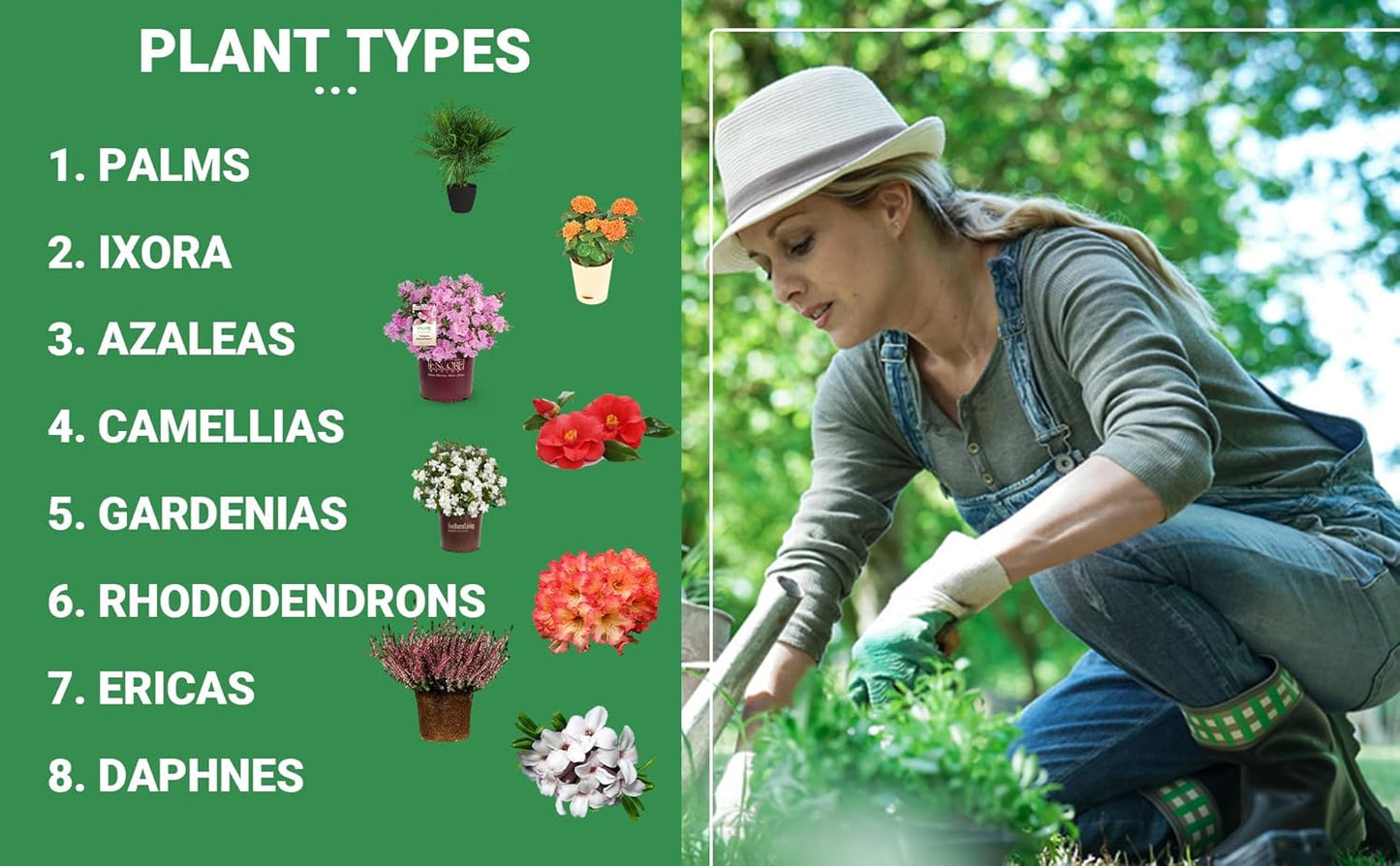 8-4-8 Professional Palm Tree Fertilizer Plant Food; for Indoor Potted Plants and Outdoor Landscape Palm Trees; Quick-Release Nitrogen Fertilizer and Continuous Feeding (4 QUARTS)