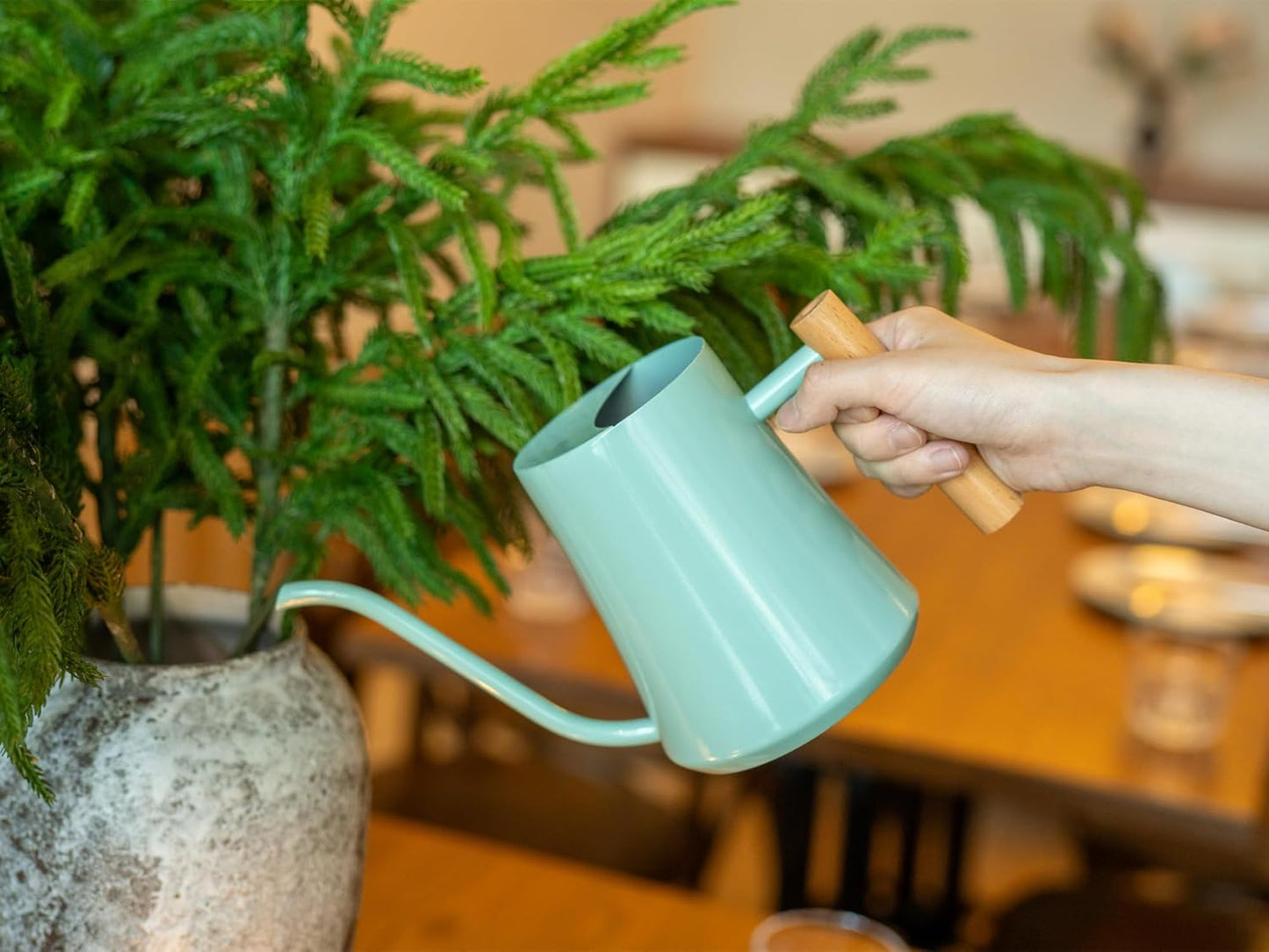 Watering Can Indoor Plants Mint Green 35oz Cute Watering Can Decorative Small Matal Watering Pot for House Bonsai Plants Garden Flower Indoor Outdoor