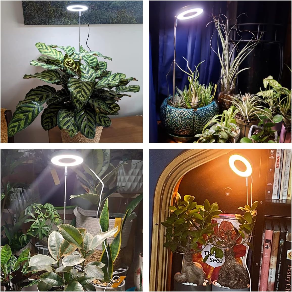 Grow Lights for Indoor Plants, 48 LEDs Full Spectrum Plant Light for Indoor Plants, Height Adjustable Growing Lamp with Base, 3 Optional Spectrums, Auto Timer 3/9/12Hrs, 10 Brightness, 2 Pack
