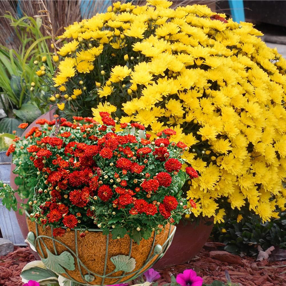 4PCS Coco Liner for Hanging Basket 24 Inch Round 100% Natural Planter Liner Replacement Plant Basket Liners Coco Fiber Liner for Garden Planters Coconut Coir Liner Flower Pot for Hanging Basket