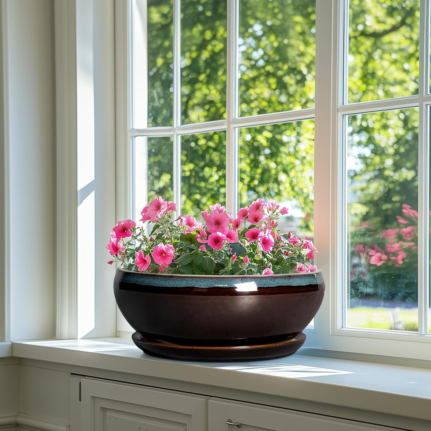 SQOWL Bonsai Planter 12 Inch - Ceramic Succulent Pots Large, Round Shallow Plant Pots Indoor with Drainage Hole and Saucer, Bowl Planter Outdoor for Flower, Room Decor, Housewarming Gifts, Blue-Brown