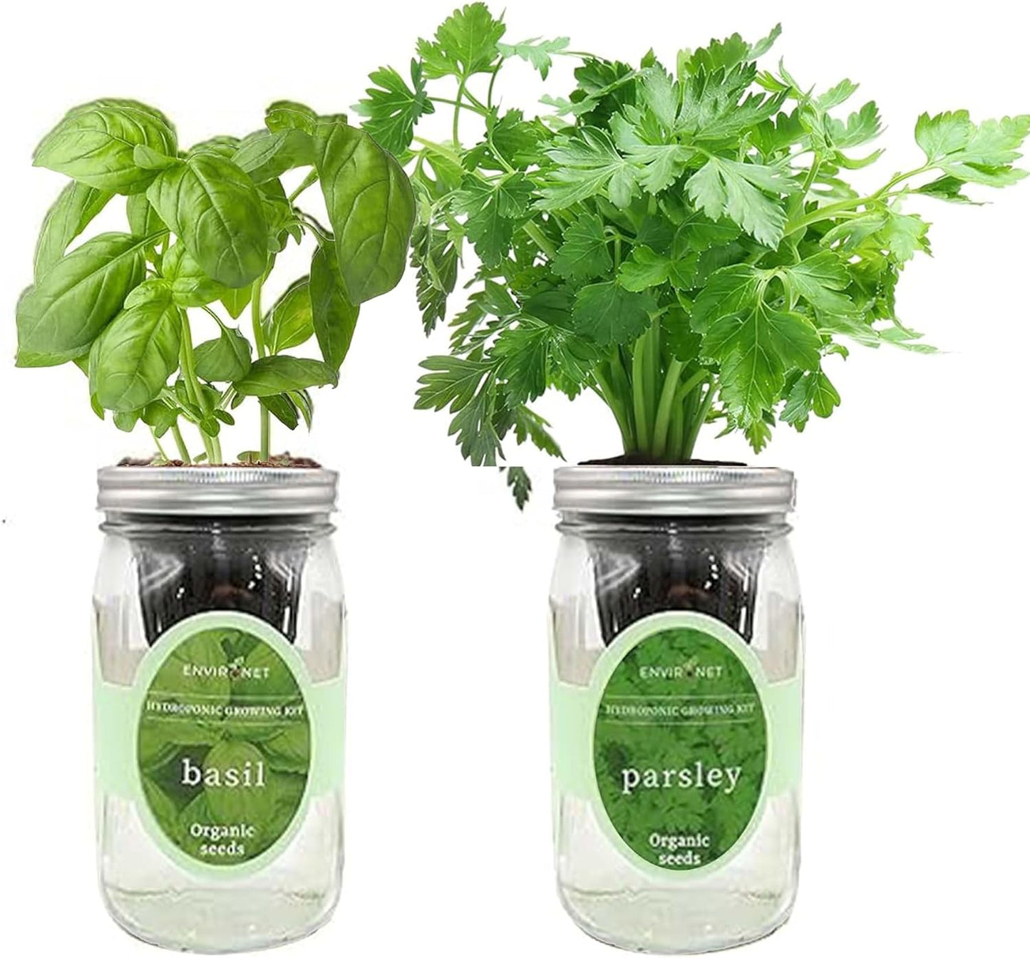 2-Pack Hydroponic Mason Jar Herb Garden Kit, Indoor Herb Garden Self-Watering Starter Kit (Basil, Parsley)