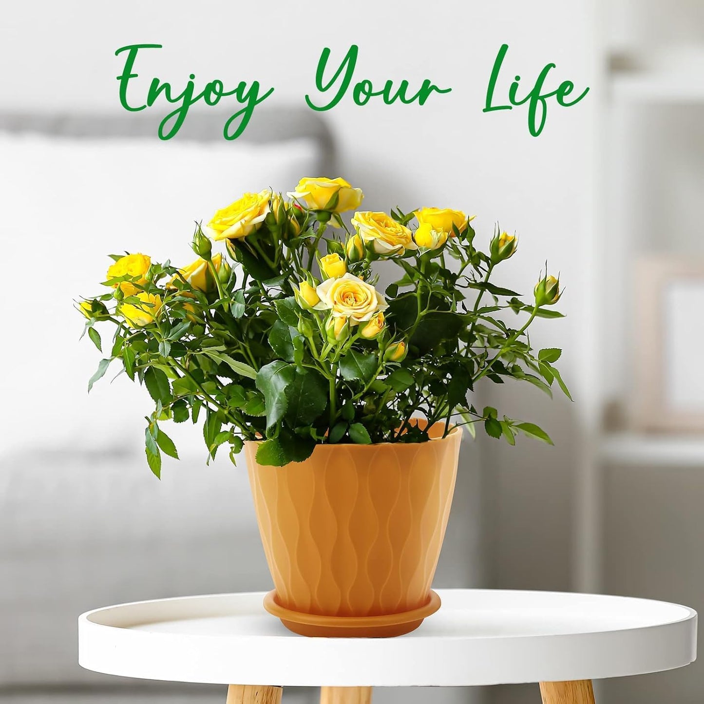 6 inch Plant Pots, 5 Pack Flower Pots Outdoor Indoor, Planters with Drainage Holes and Tray Saucers（Multicolor）