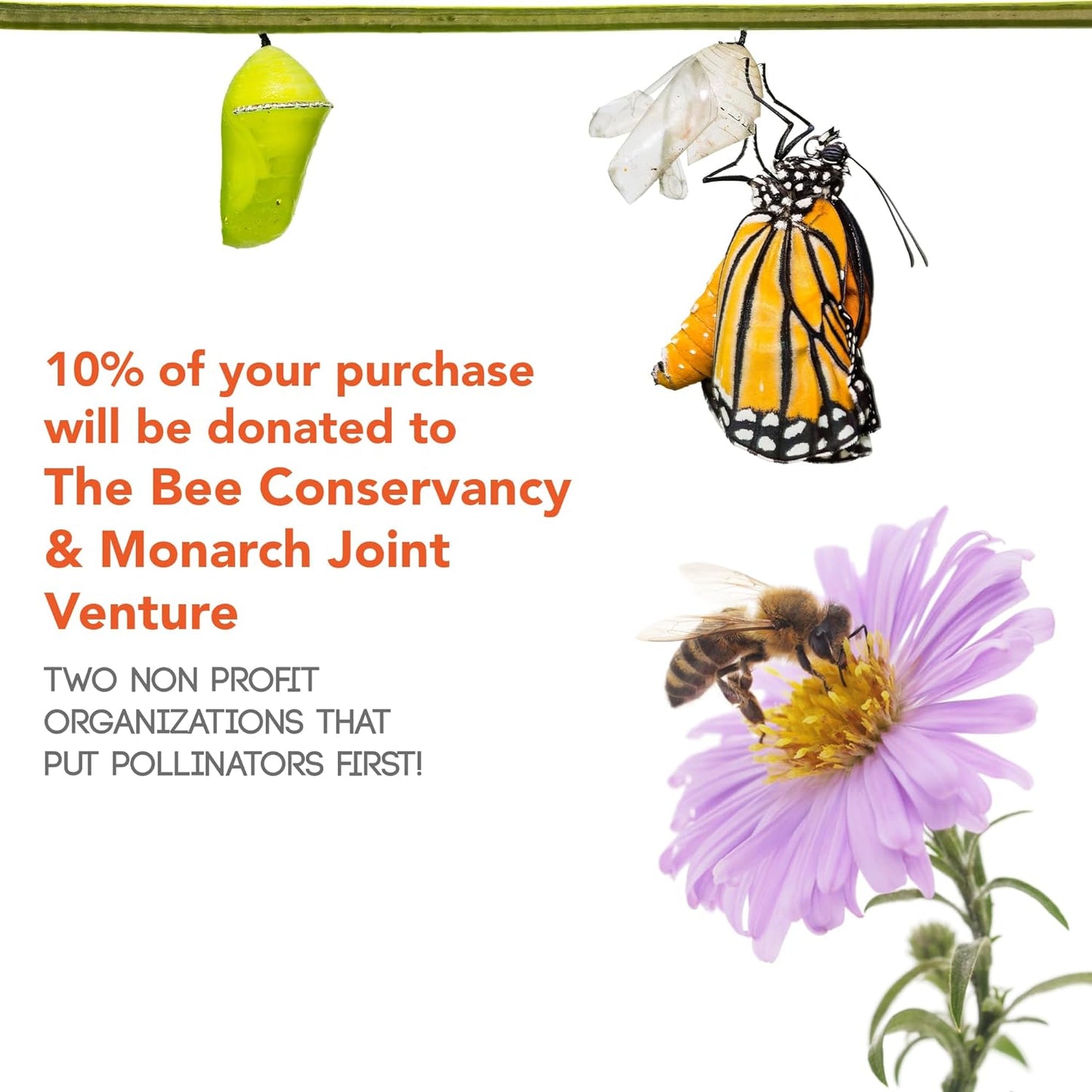 Pollinator Wildflower Seed Shaker Collection - ~300,000+ Wild Flower Seeds for Planting - Includes Hummingbird & Butterfly, Save The Monarchs, and Save The Bees Wildflower Mixes - Covers ~1,000 sq ft…