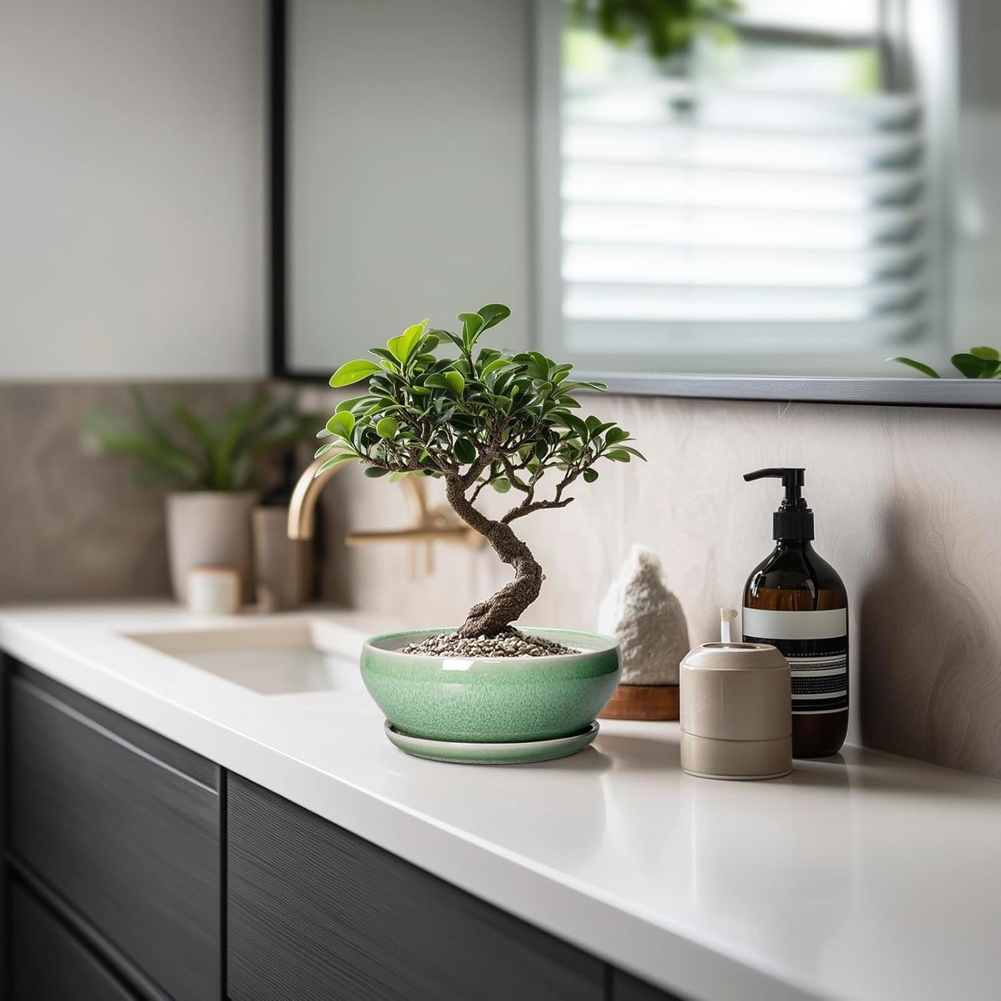 SQOWL Succulent Pots 6 Inch - Ceramic Bonsai Planter for Indoor Plants Outdoor, Shallow Planter with Drainage Hole and Tray, Round Planters for Cactus Flower, Office Decor, Gardening Gifts, Green