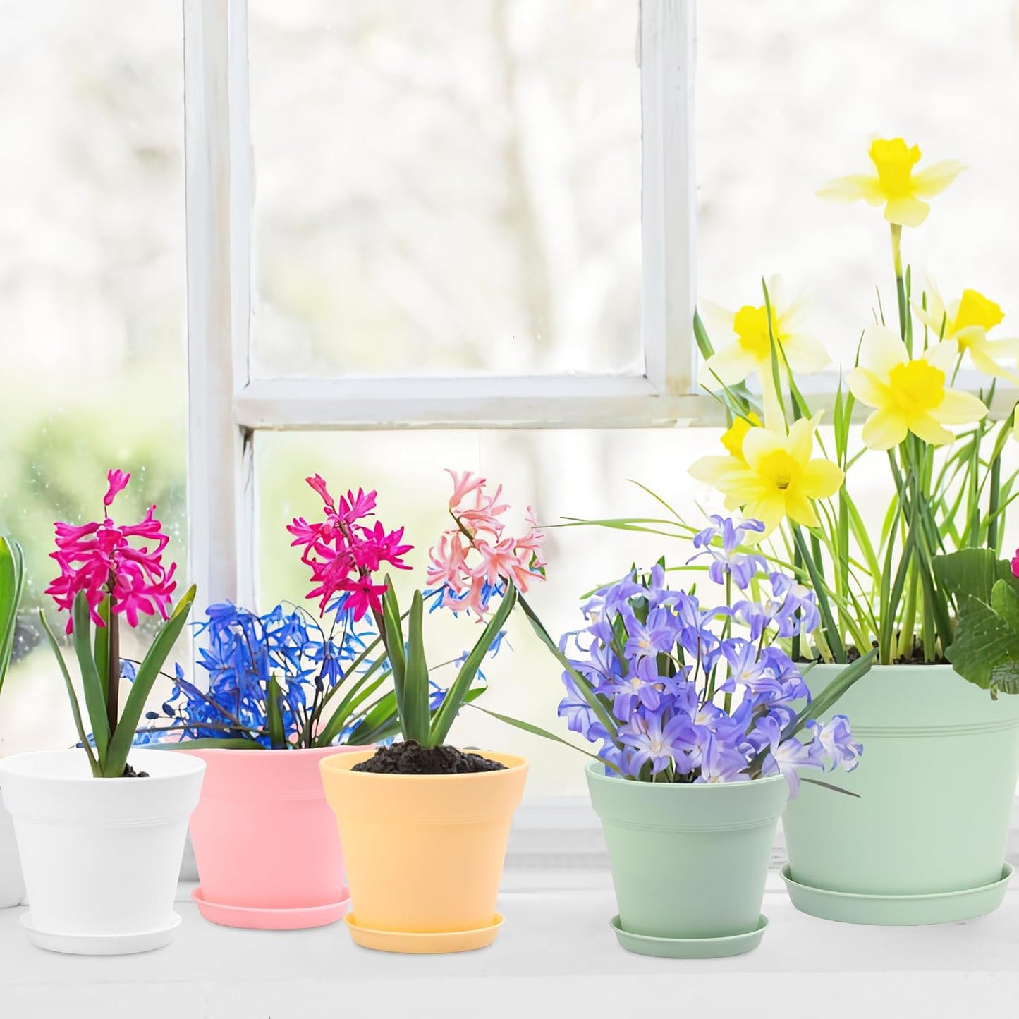 GARDIFE 20 Pack 4 inch Plant pots, planters for Indoor Plants, Flower pots, Color