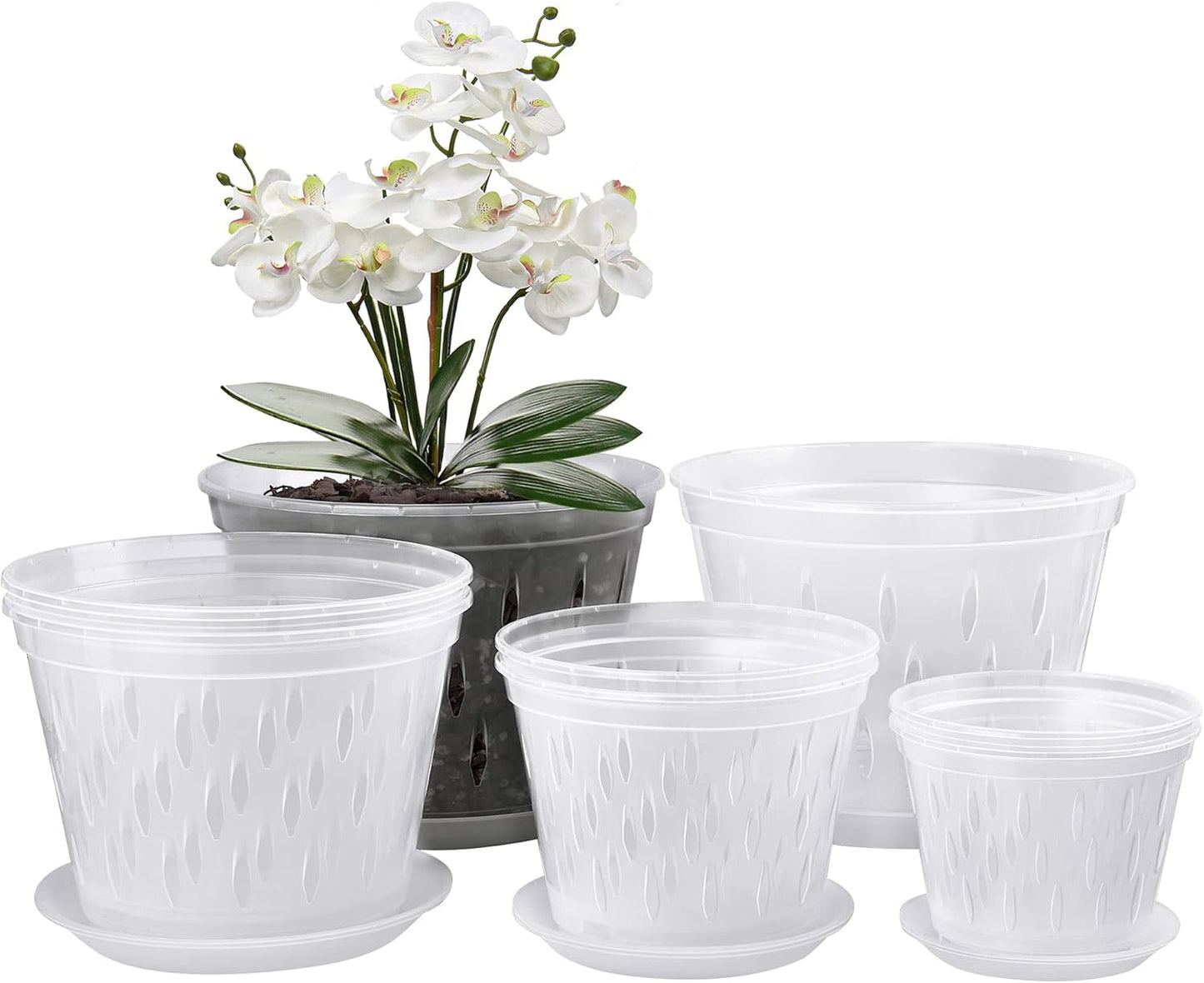 Orchid Plants- 2 Each of 4, 5, 6 and 7 inch- 8 Sets with Saucers, Orchid Pots with Holes and Clear Plastic Orchid Pots for Repotting