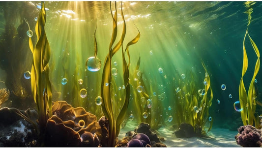 Aquarium Background Underwater Beautiful Coral Reef with Seaweed Bubbles Terrarium Backdrop Aquatic Plants Sunlight Rays Fish Tank Background Tank Aquarium Wallpaper Poster Decor Vinyl 72x16in