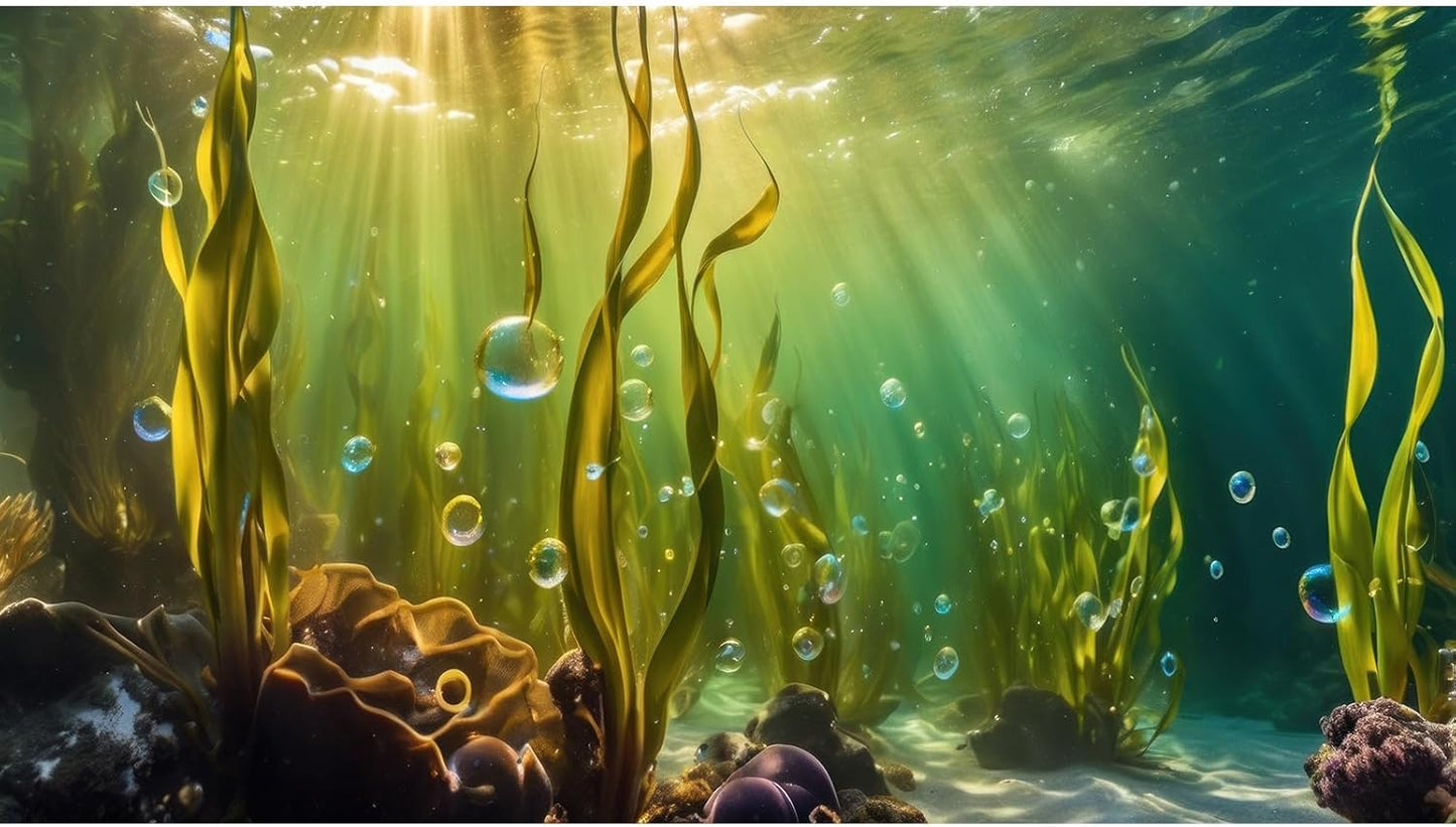 Aquarium Background Underwater Beautiful Coral Reef with Seaweed Bubbles Terrarium Backdrop Aquatic Plants Sunlight Rays Fish Tank Background Tank Aquarium Wallpaper Poster Decor Vinyl 24x12in