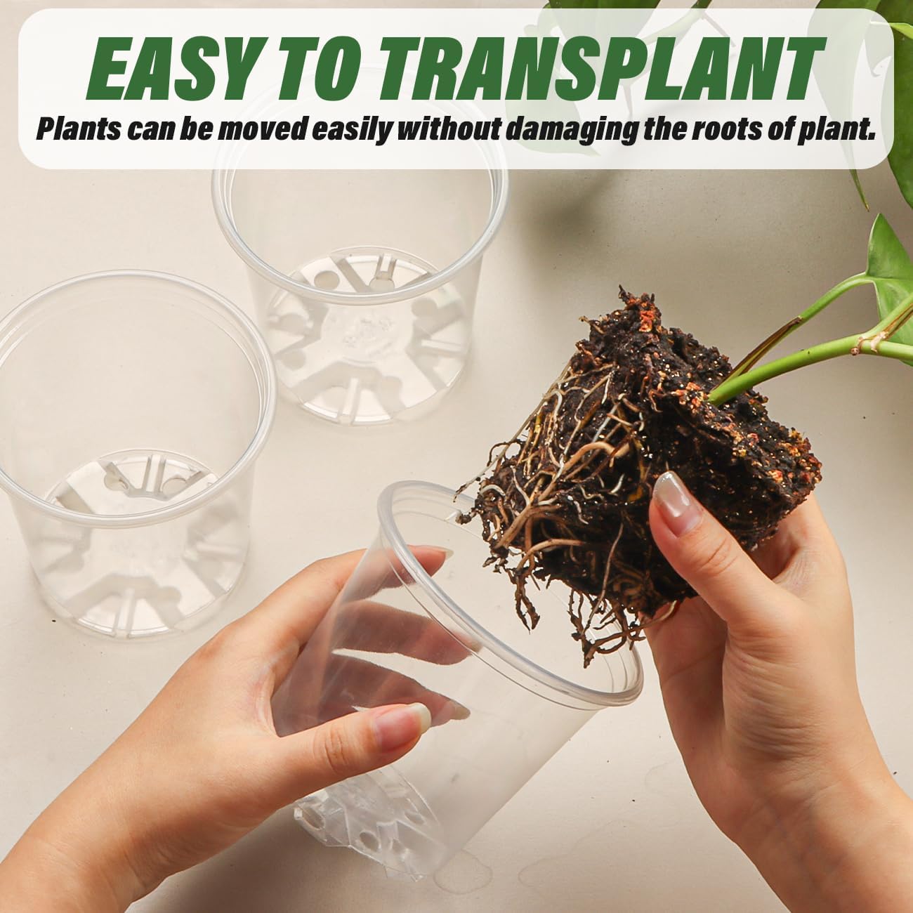 3.5" Clear Seeding Pots 20 Pack Round for Seeds Starter Pot, Seeds Germination Transparent Nursery Pots with Drainage Holes (Clear,3.5Inch,20PCS)