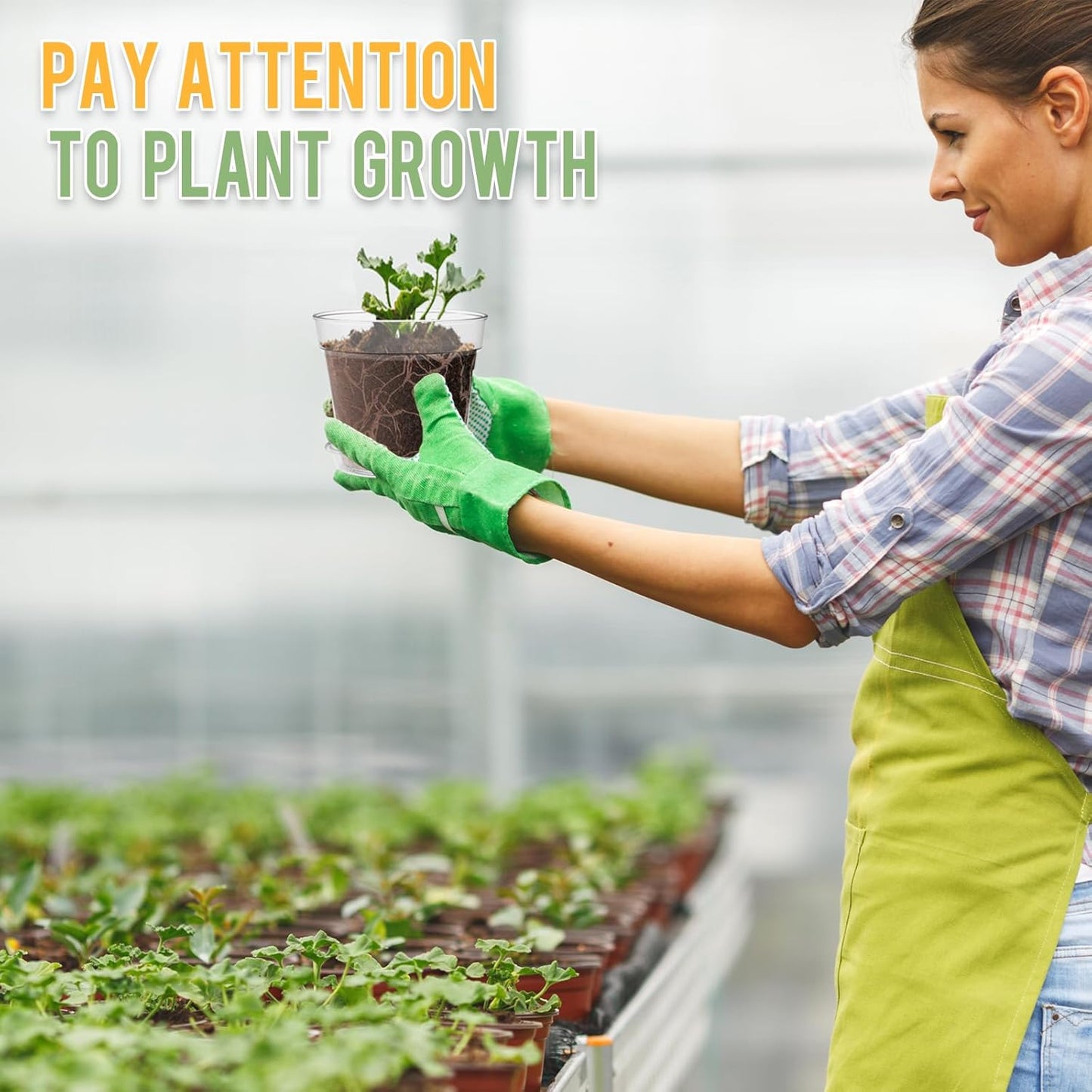 3 Inch Clear Nursery Pots, 30 Pack Highly Transparent Plastic Seedling Starter Planters with Drainage Holes and Trays for Flowers, Small Plant Pots for Indoor Plants