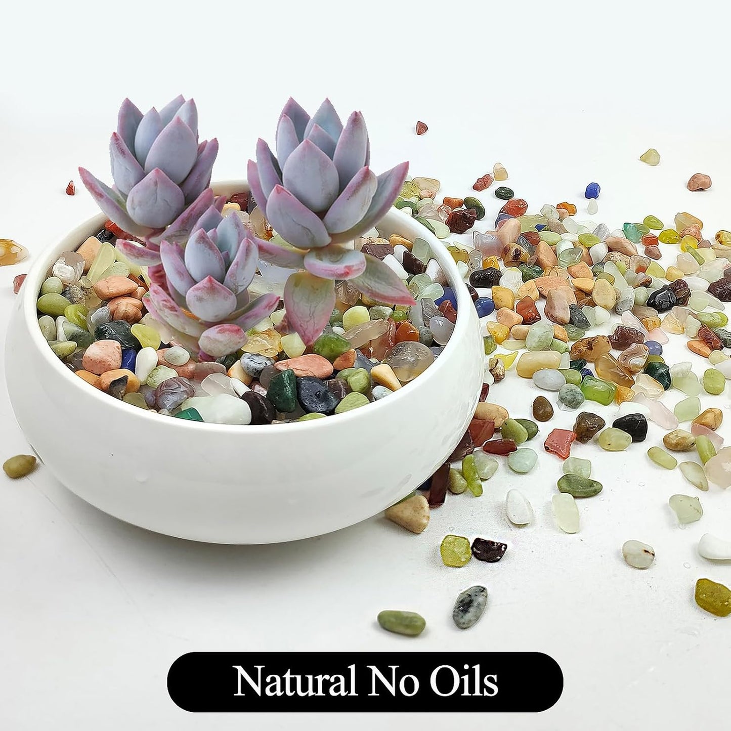 20LB Colorful Pebbles for Succulent, 3/8 Inch Natural River Rocks for Plants, Natural Decorative Polished Pebbles for Cactus,Vases, Planters,Outdoor Gardening and Indoor Plants