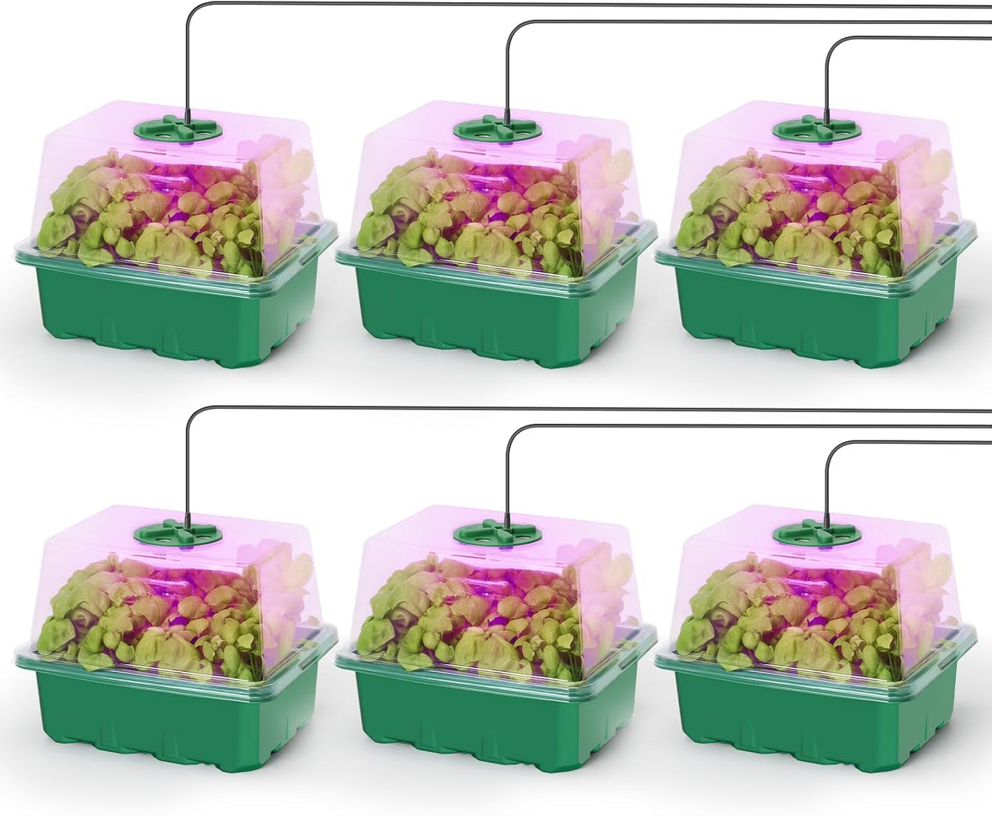 MIXC Seed Starter Kit with Grow Light, Elevated Seedling Tray Kit with Adjustable Humidity Dome and Clear Cell Tray, 12 Full Spectrum Led Beads for Seed Starting Greenhouse, 6 Pack, Green